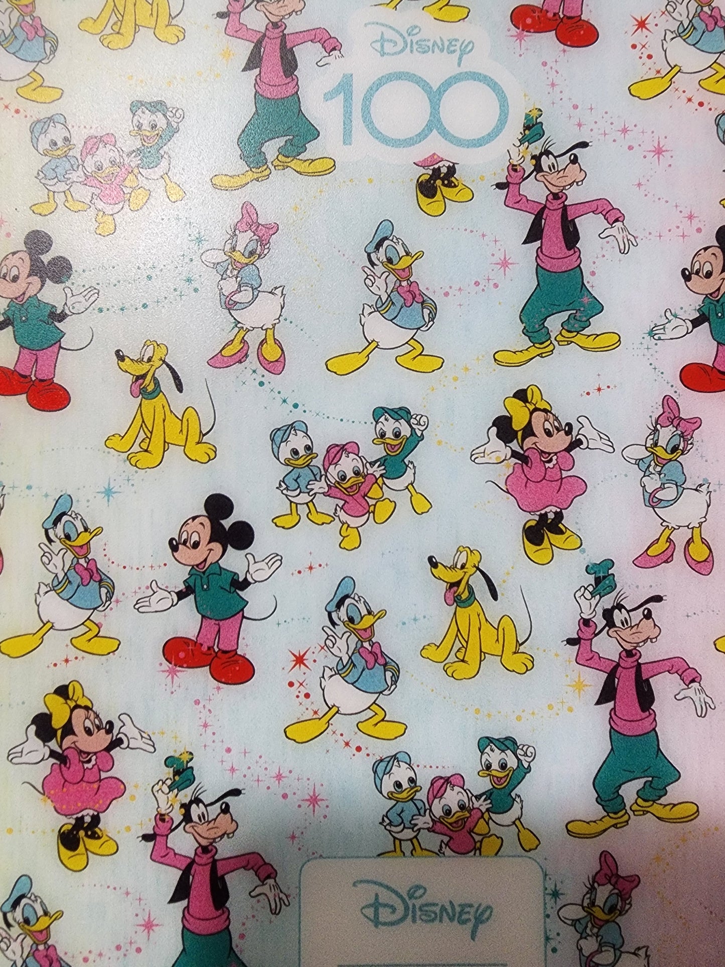 Disney 100 Anniversary Notebook