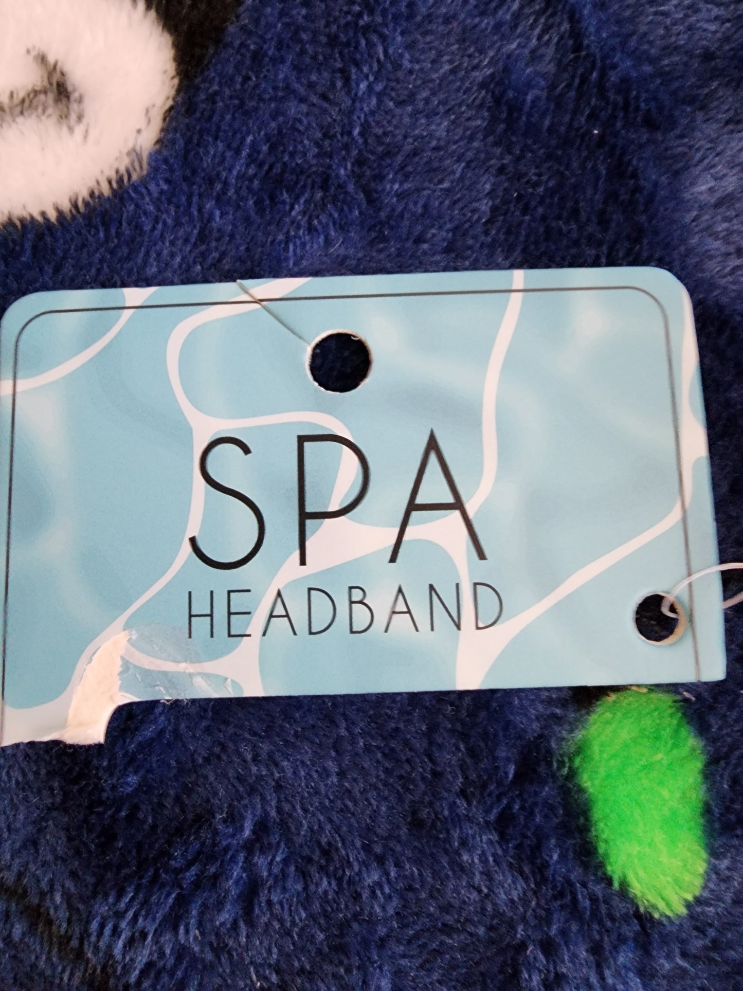 Axolotl Spa Headband