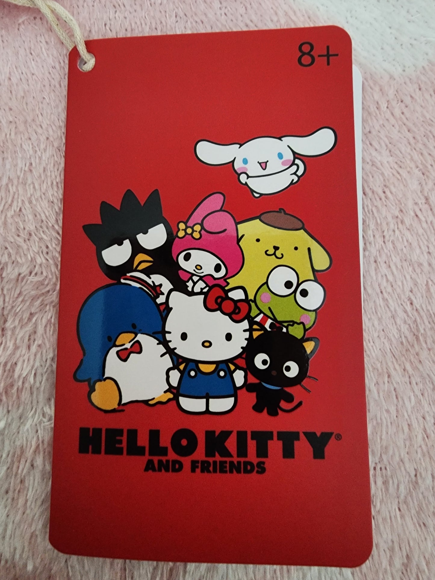 Hello Kitty and Friends Movie Time Card Holder