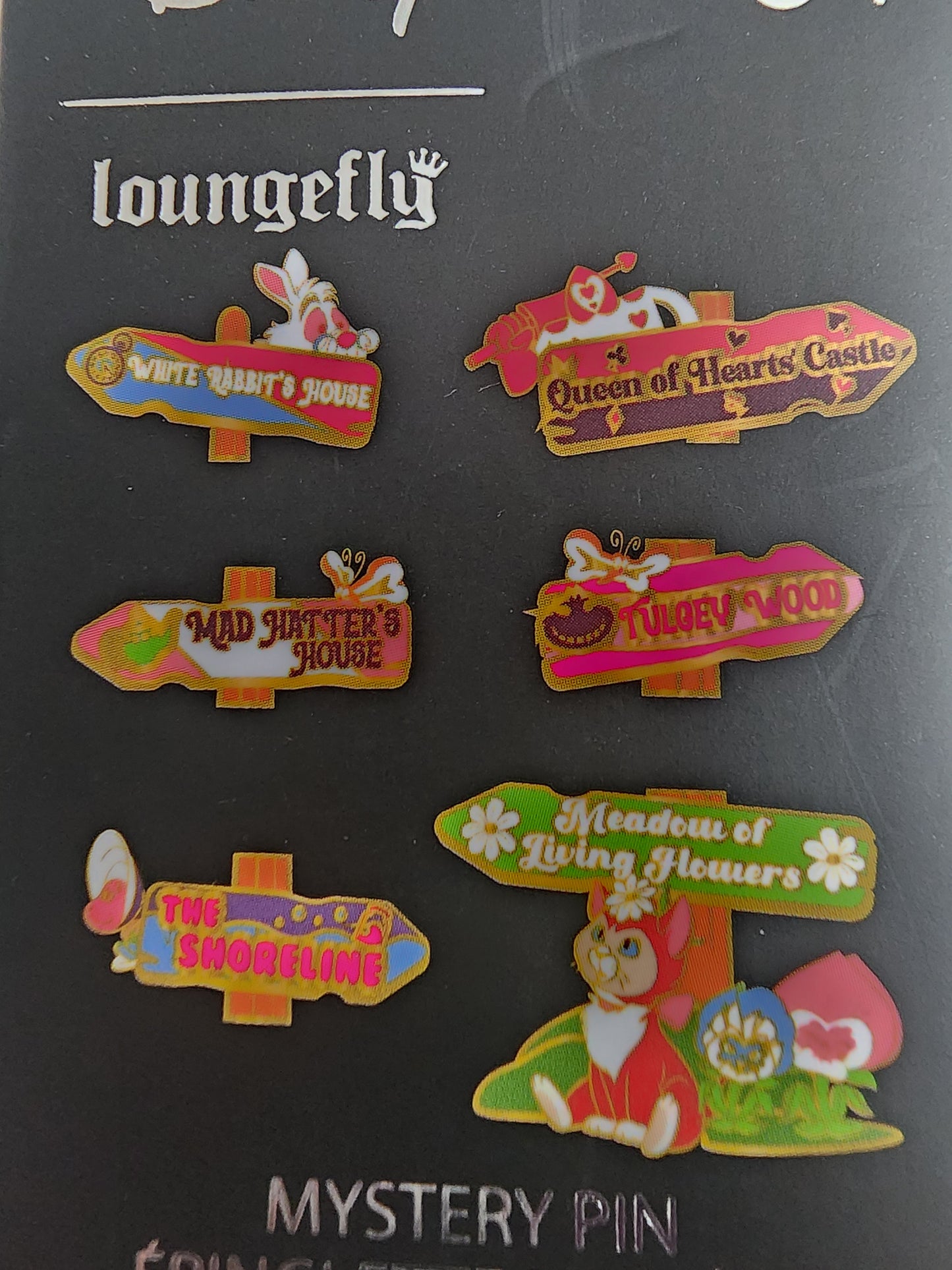 Loungefly Disney Alice in Wonderland Sign Mystery Pins