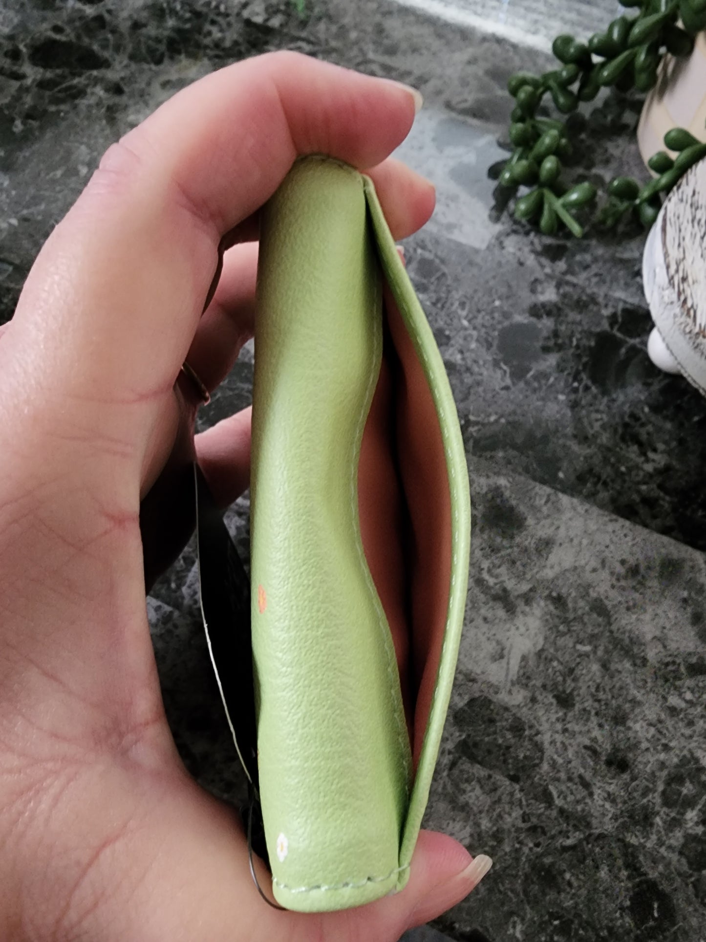 Loungefly Pokemon Picnic Card Holder