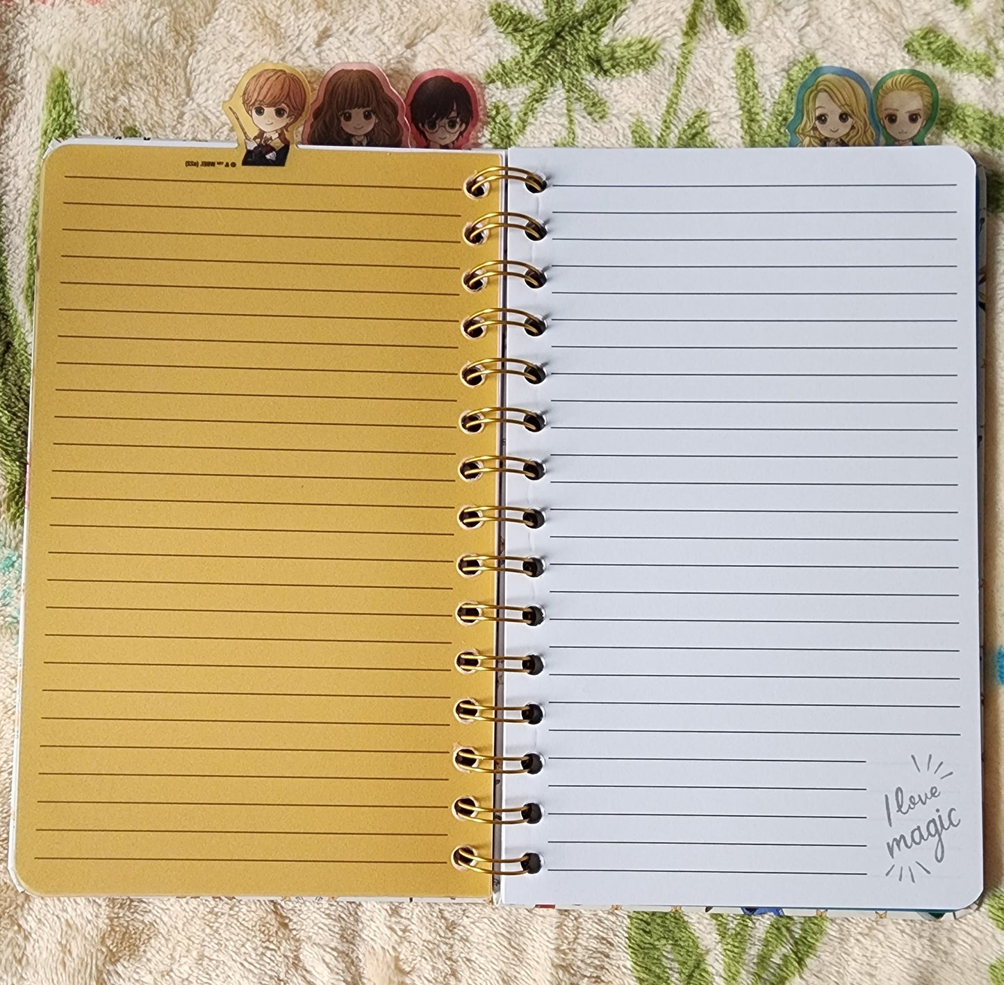 Harry Potter and Friends Notebook