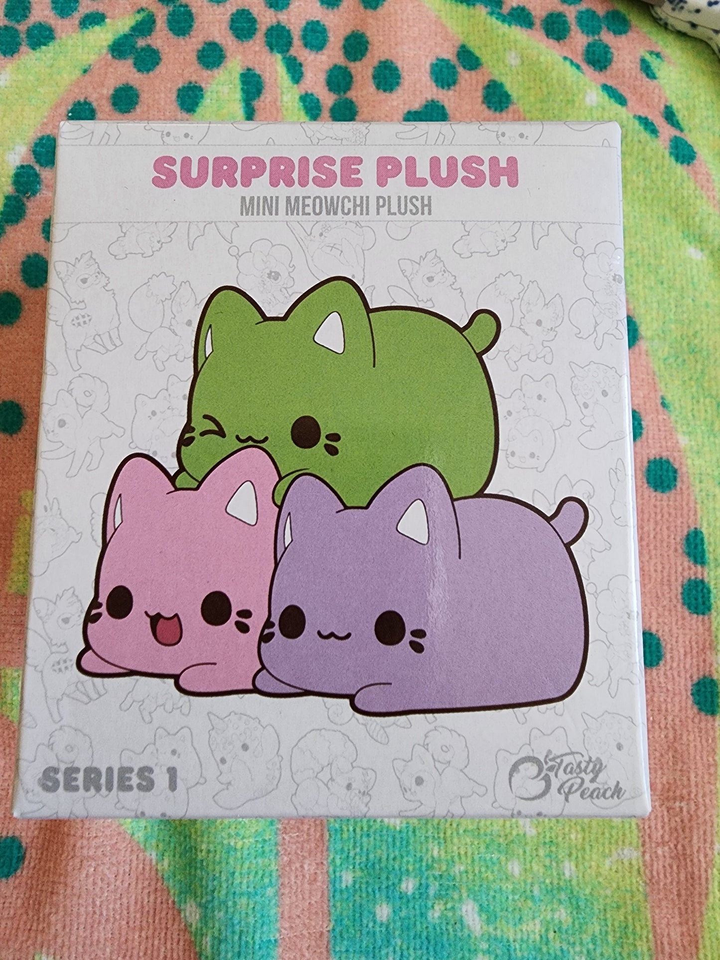 Sesame Meowchi Mystery Box