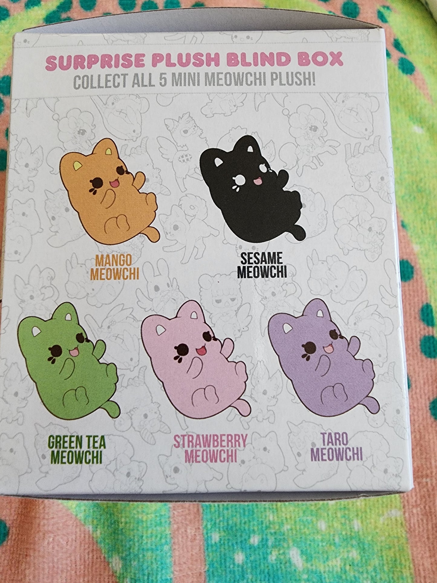 Strawberry Meowchi Mystery Box