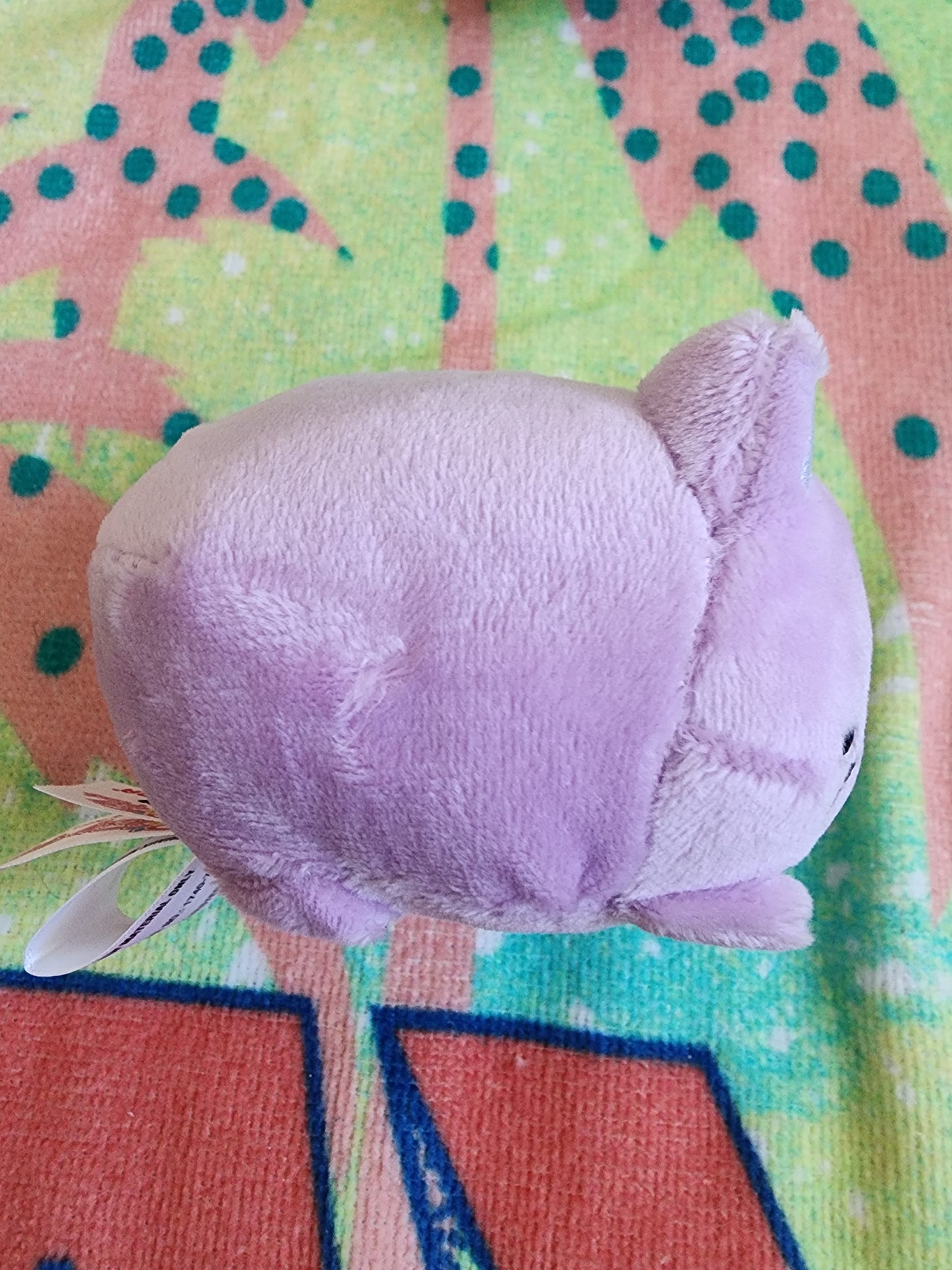 Taro Meowchi Mystery Box Plush