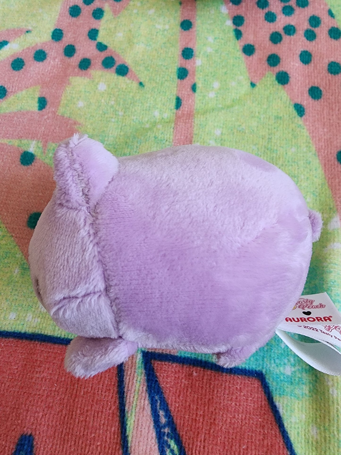 Taro Meowchi Mystery Box Plush