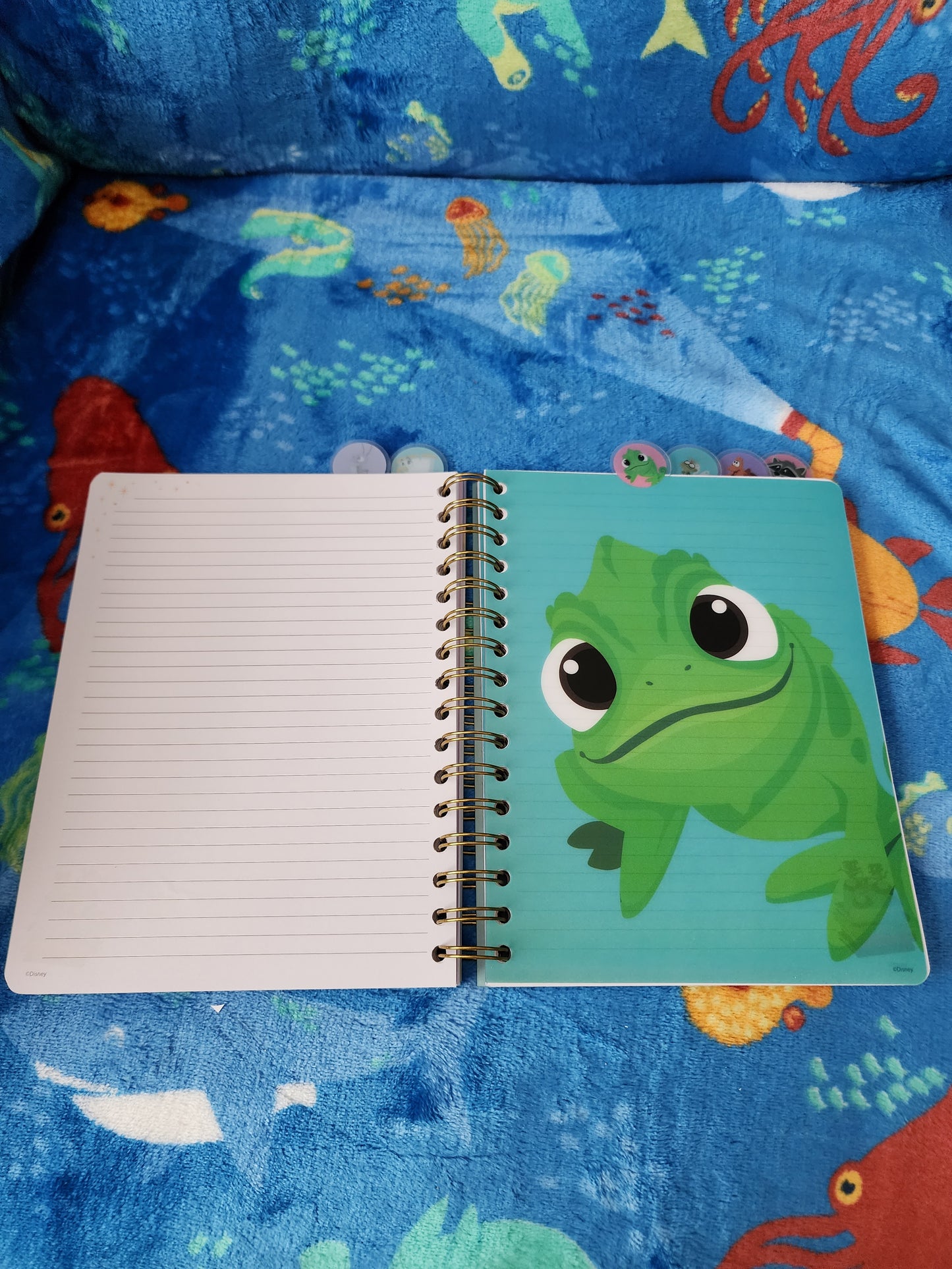 Disney Sidekicks Notebook