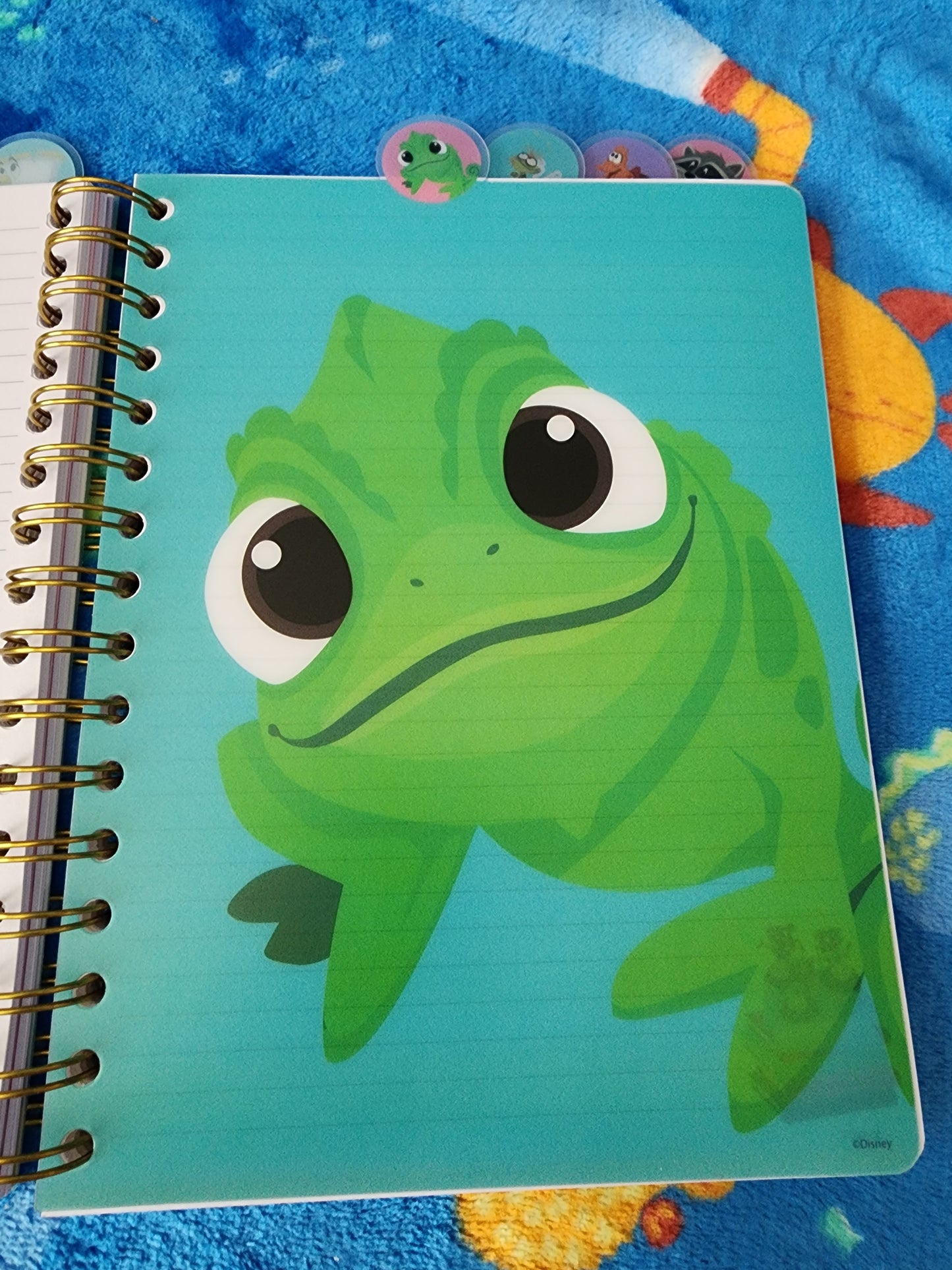 Disney Sidekicks Notebook