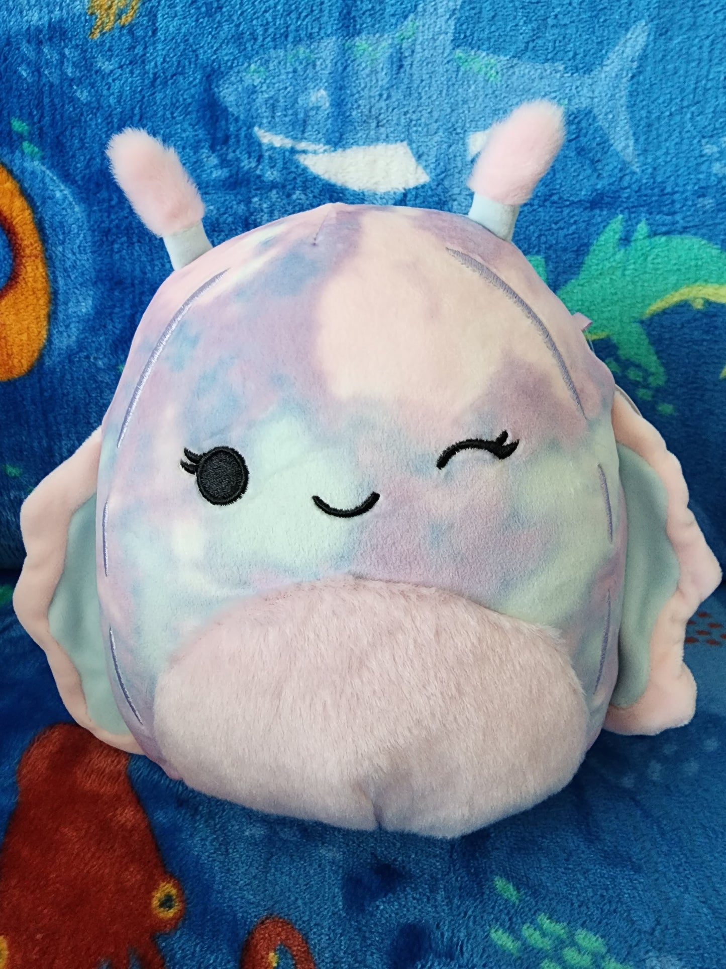 Dottie 6" Squishmallow