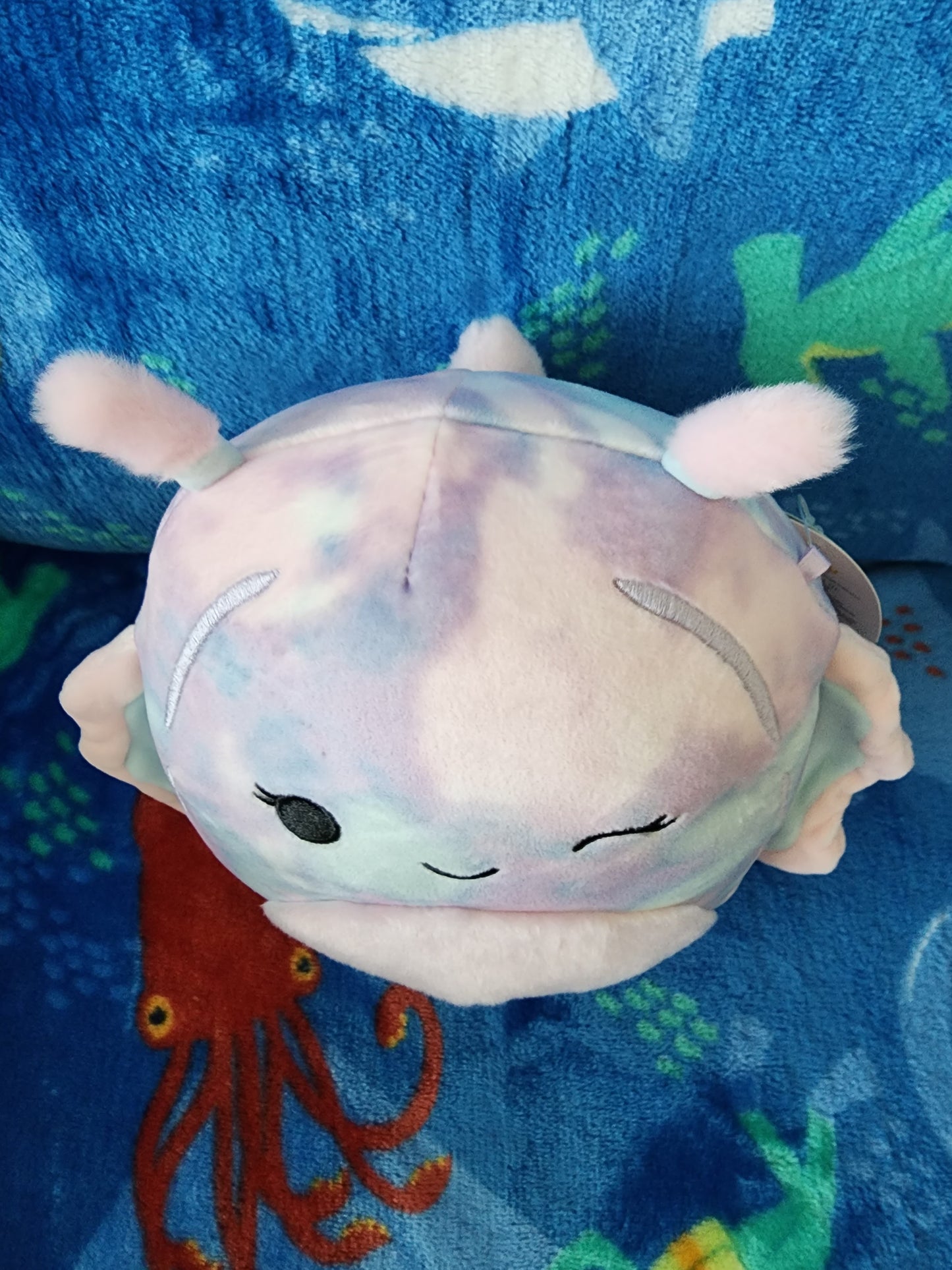 Dottie 6" Squishmallow