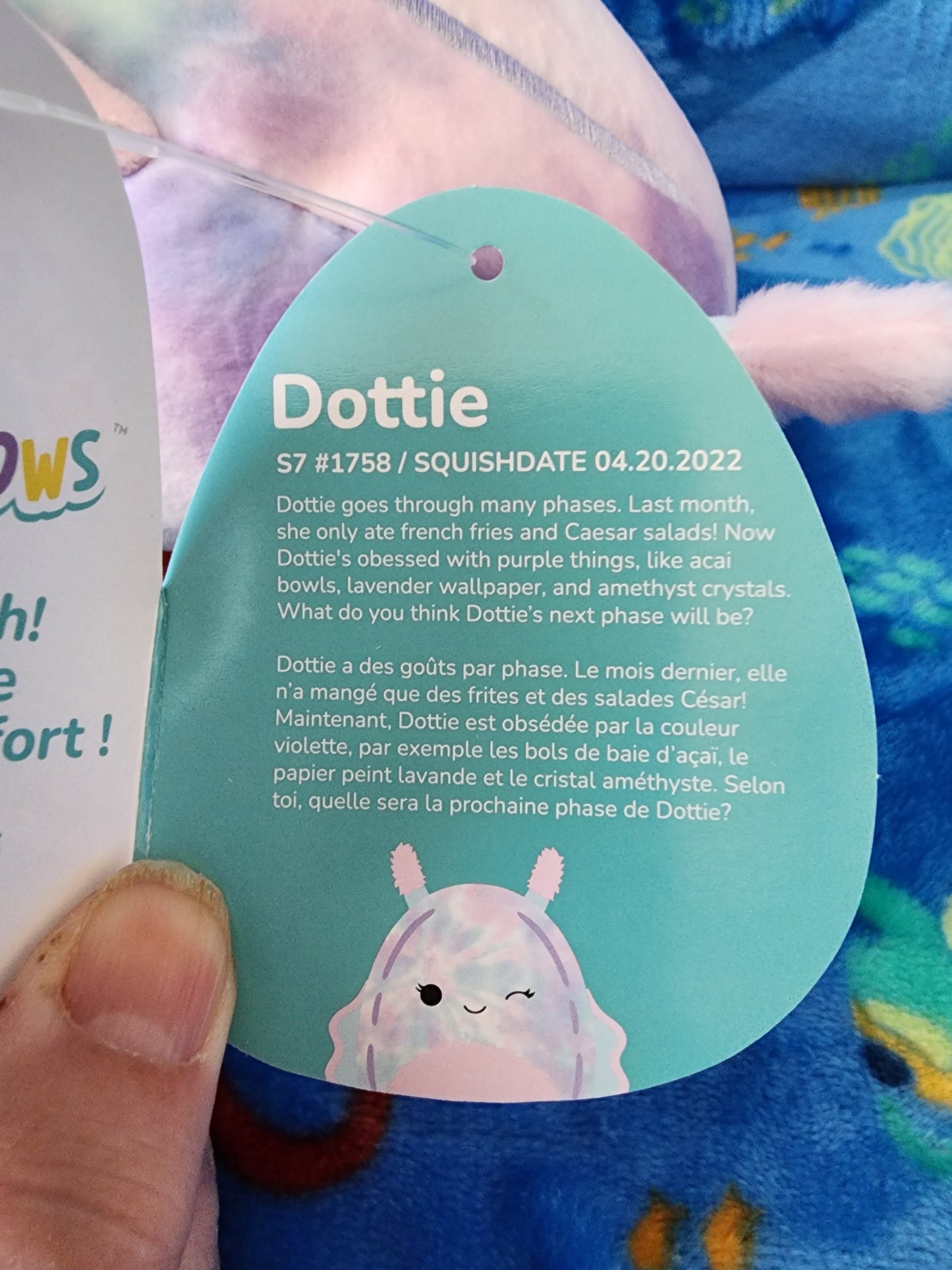 Dottie 6" Squishmallow