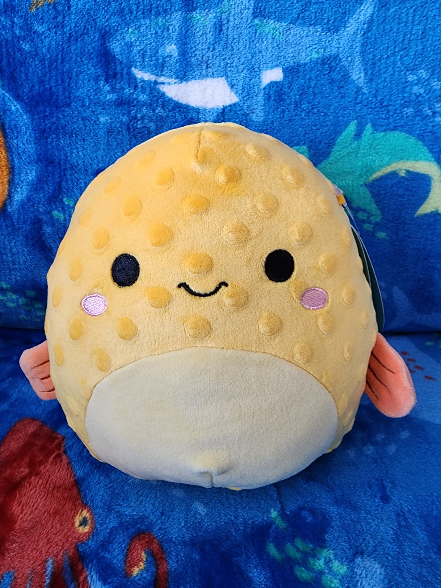 Safa 6" Squishmallow