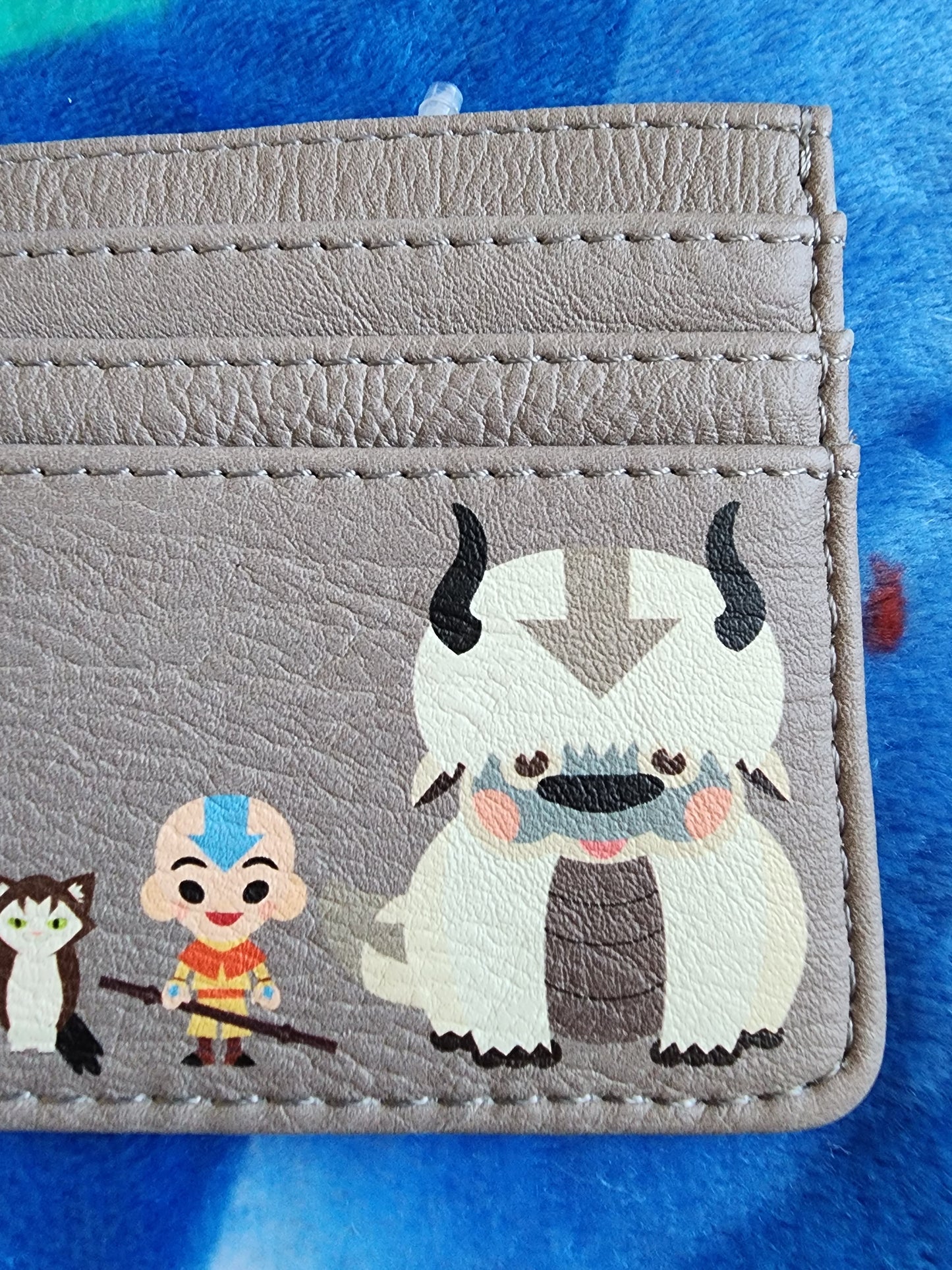 Avatar the Last Airbender Card Holder