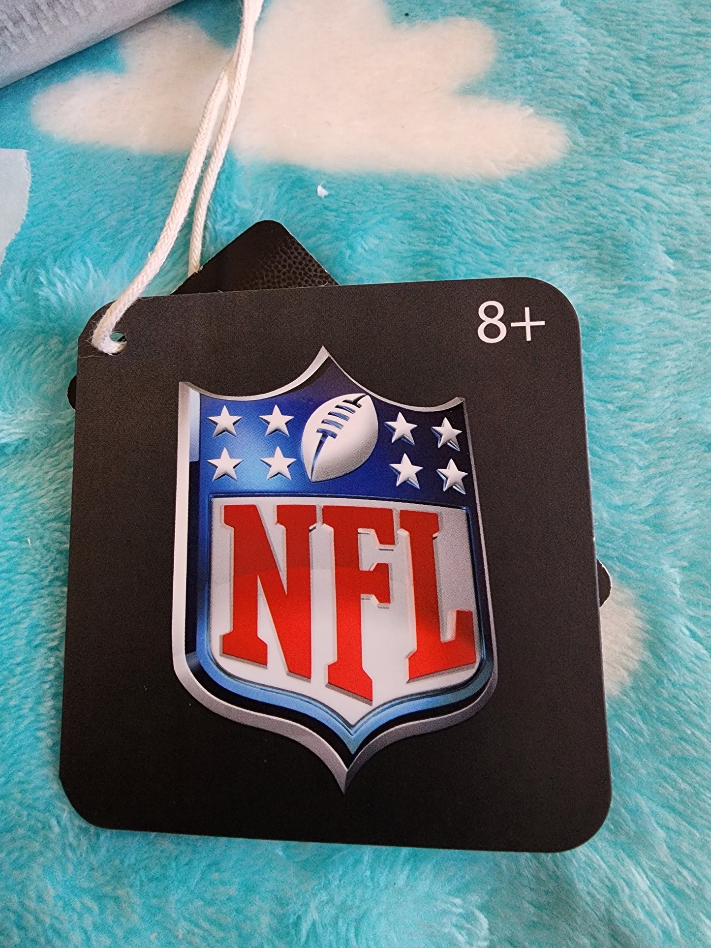 Loungefly NFL Raiders Wallet