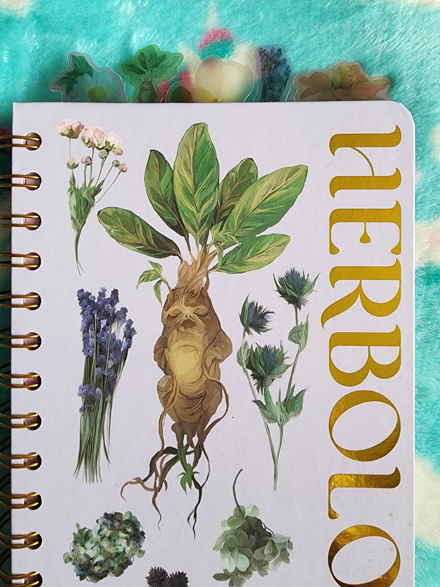 Harry Potter Herbology Notebook