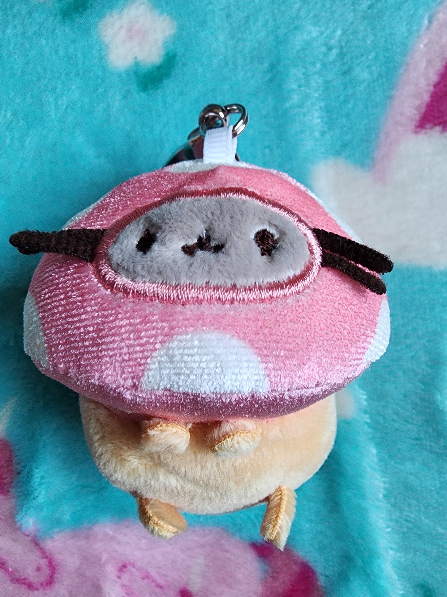 Pusheen Cat Enchanted Forest Mystery Box