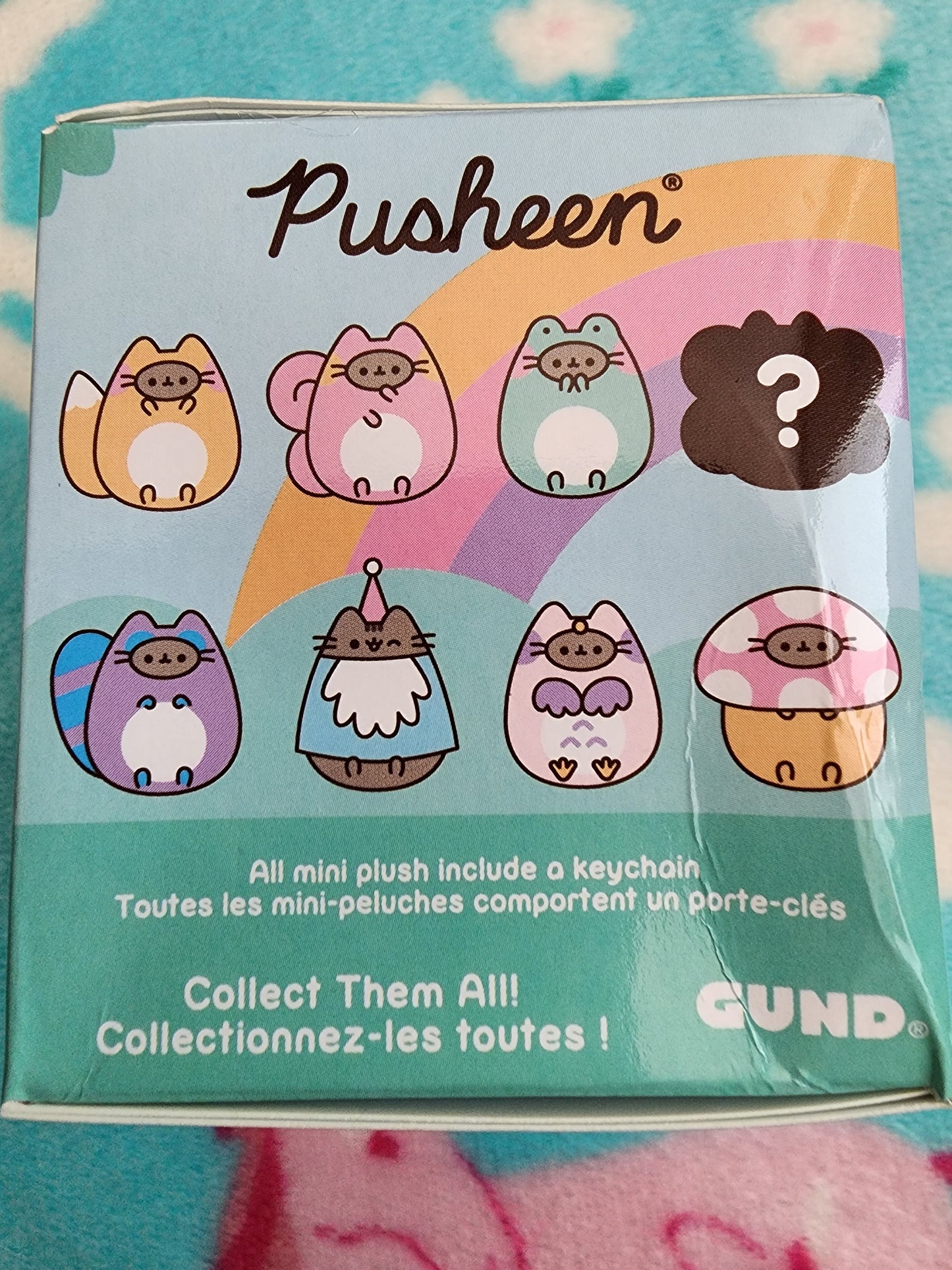 Pucheen Cat Enchanted Forest Animals Mystery Boxes