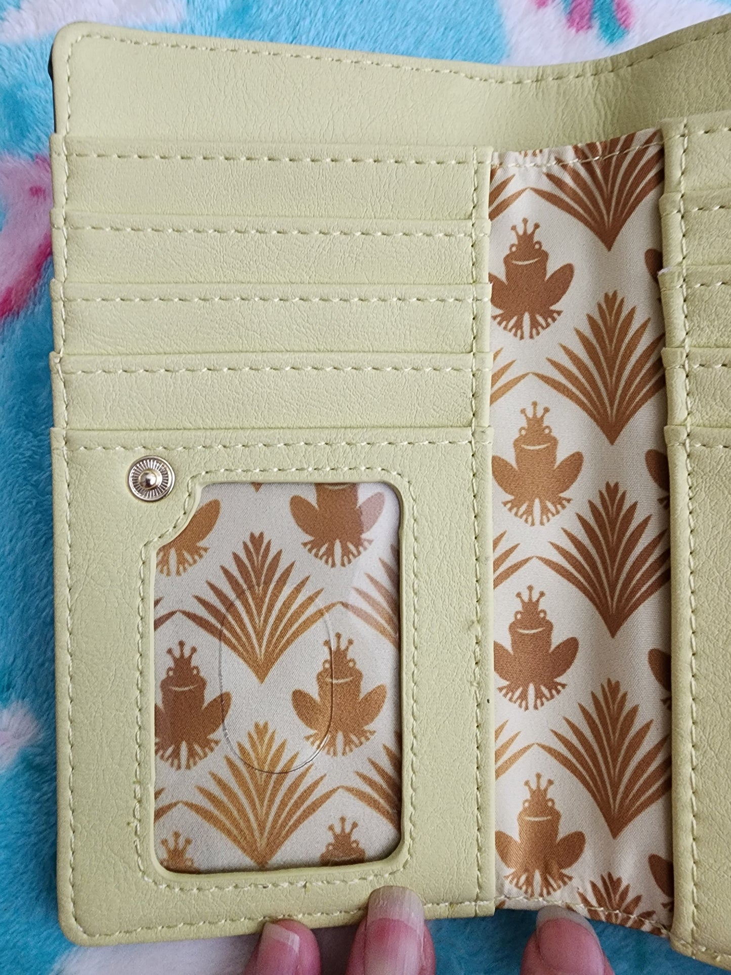 Loungefly Disney The Frog Princess Wallet