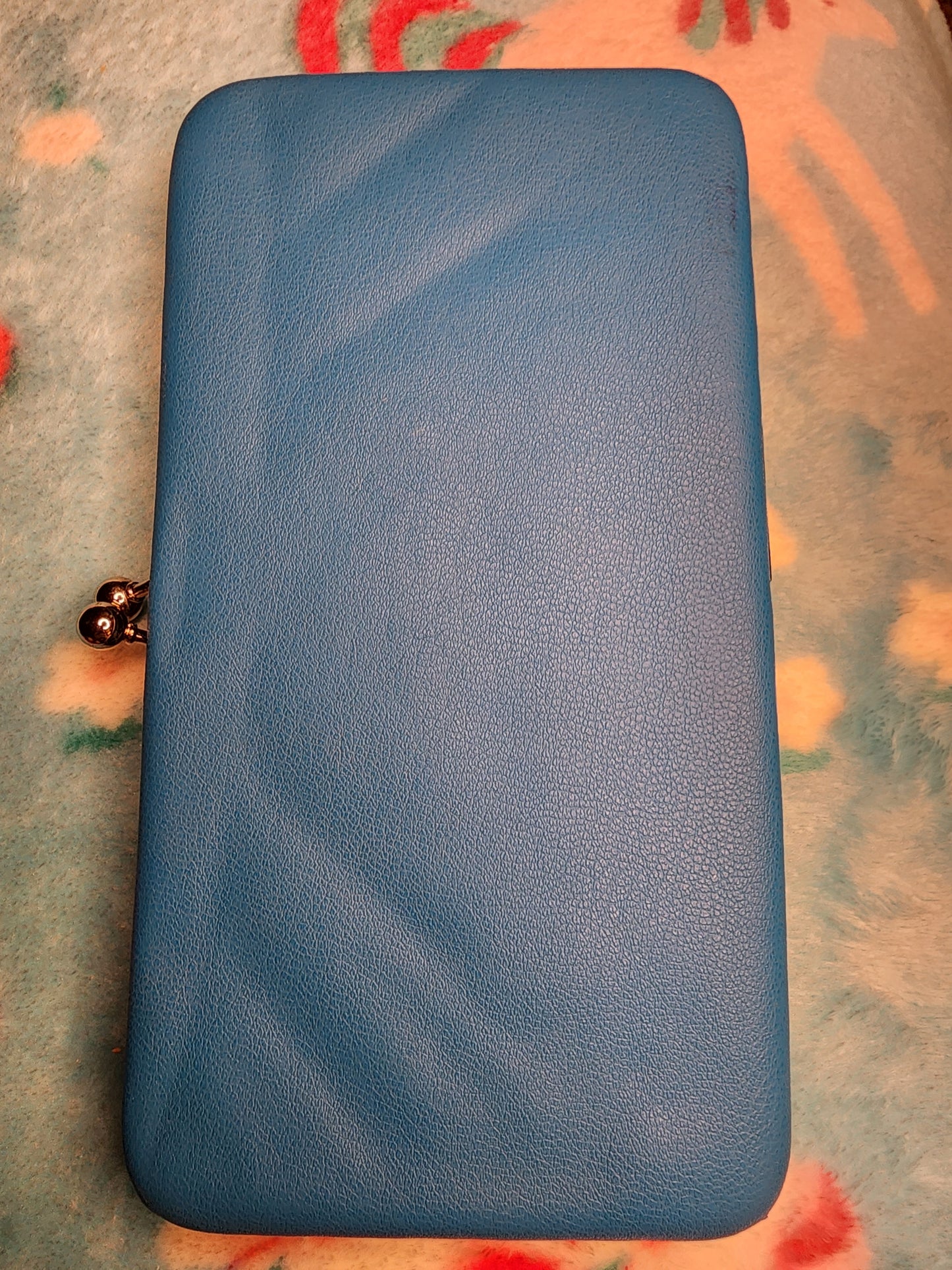 Frozen Elisa and Anna Snap Wallet