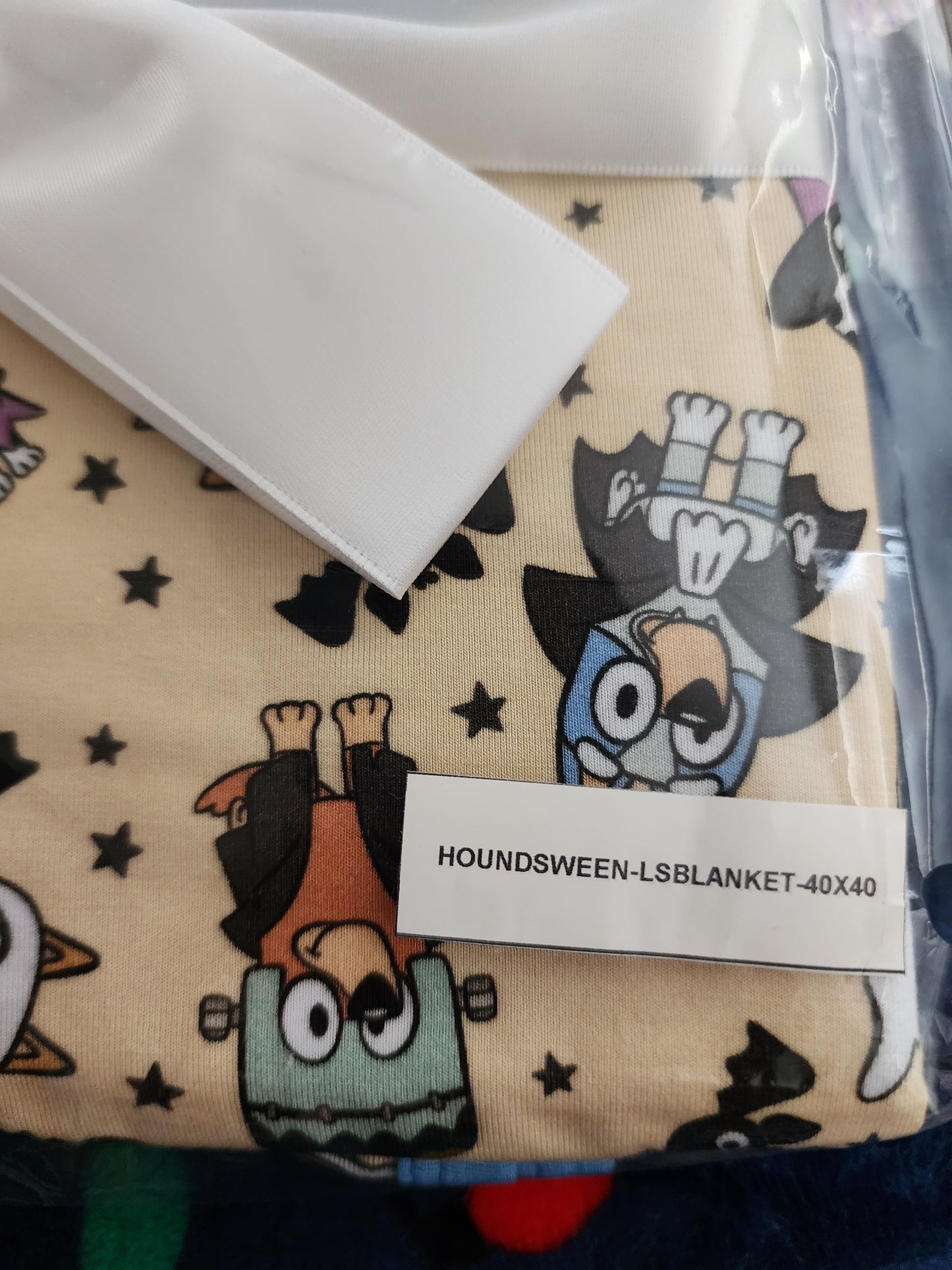 *Charlies Project Bluey, Bingo and Friends Halloween Baby Blanket