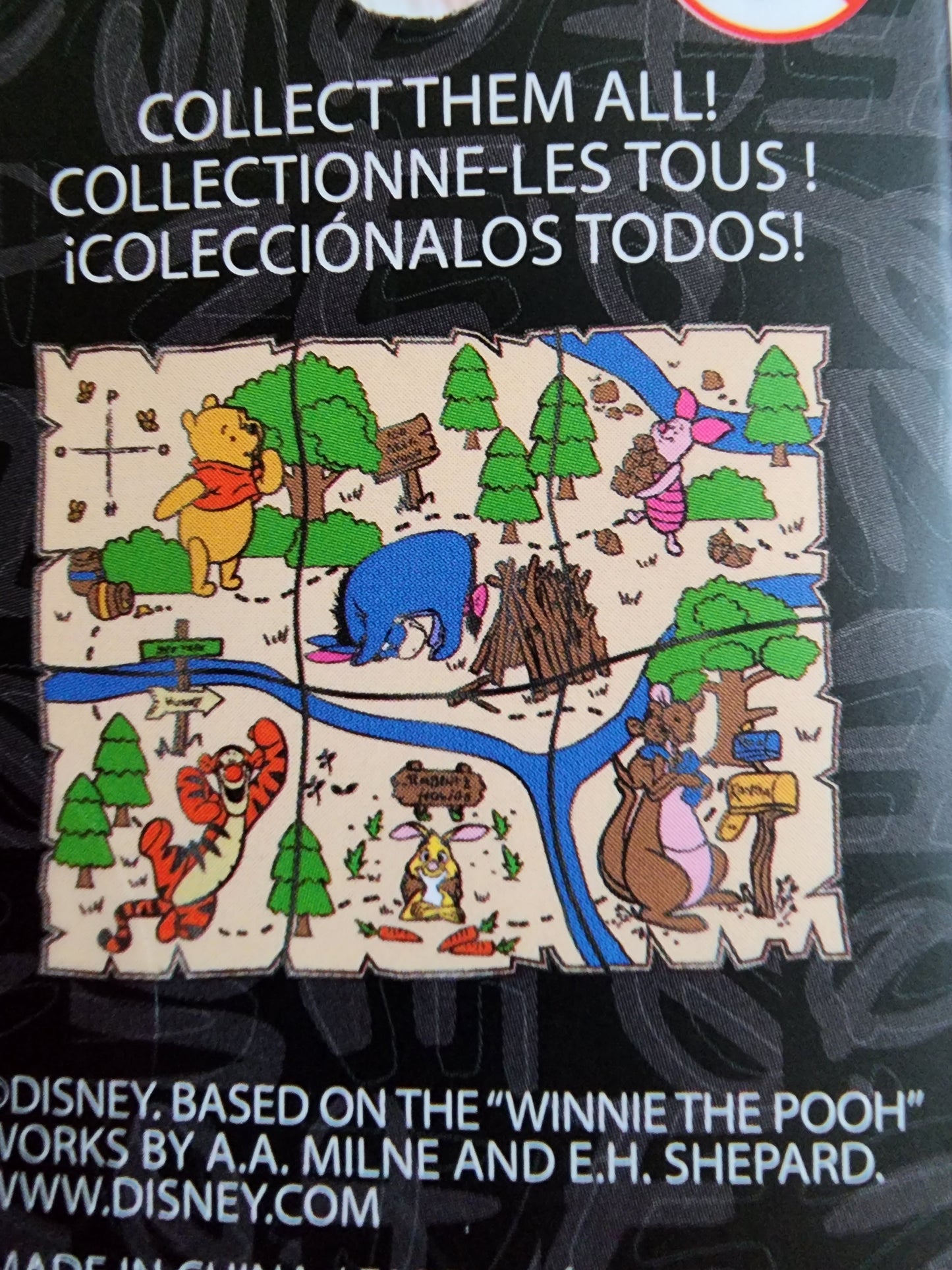 Winnie the Pooh and Friends Map Mystery Pins