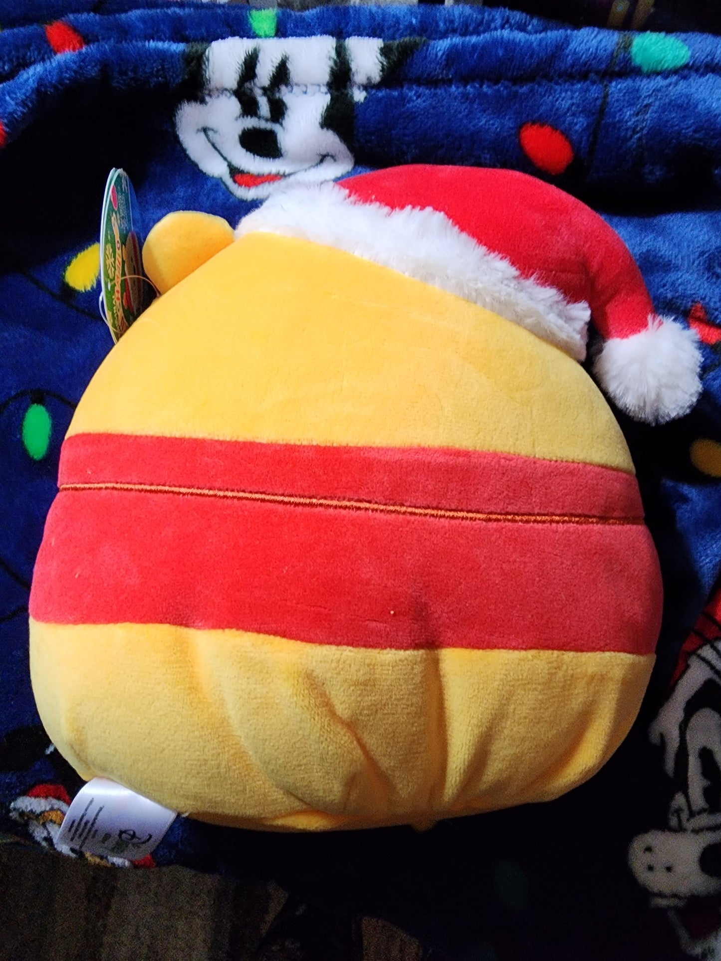 Disney Winnie the Pooh Squishmallow