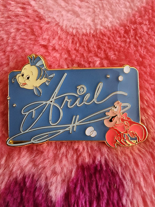 Disney Princess License Plate Mystery Pins