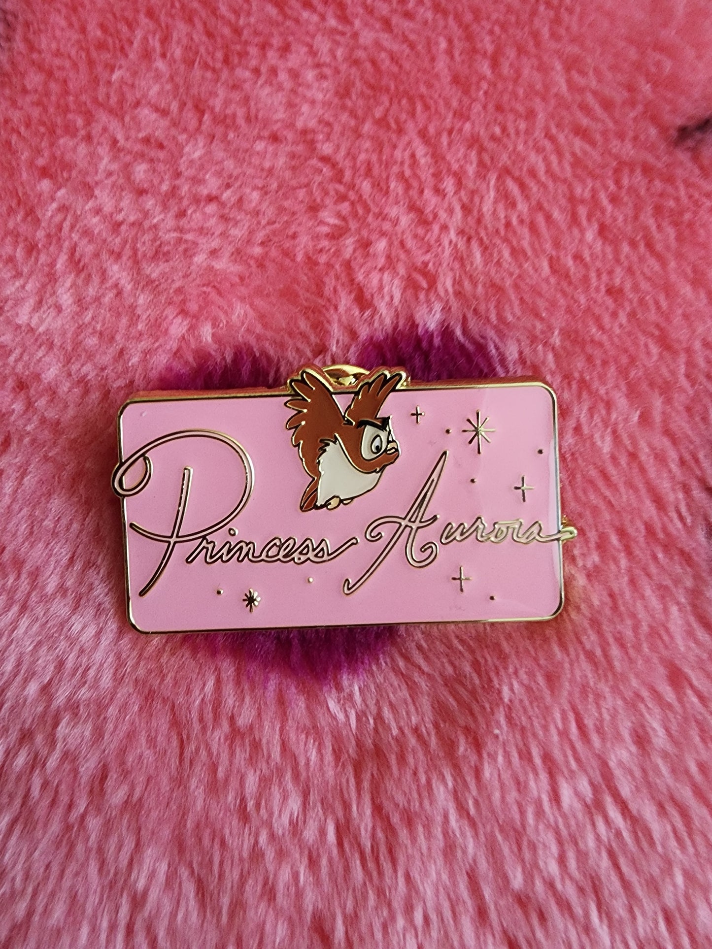 Disney Princess License Plate Mystery Pins