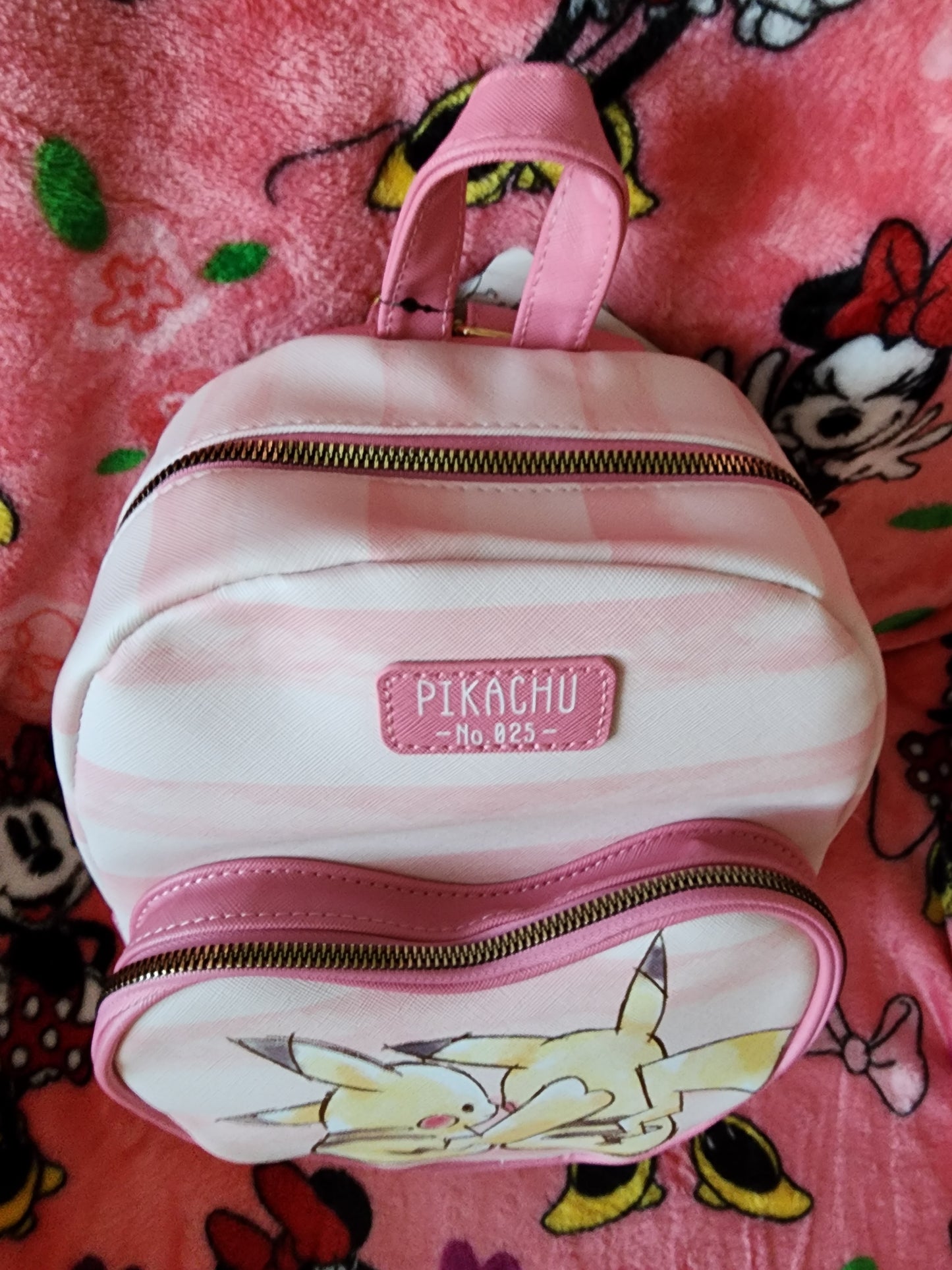 Pokemon Valentine's Backpack