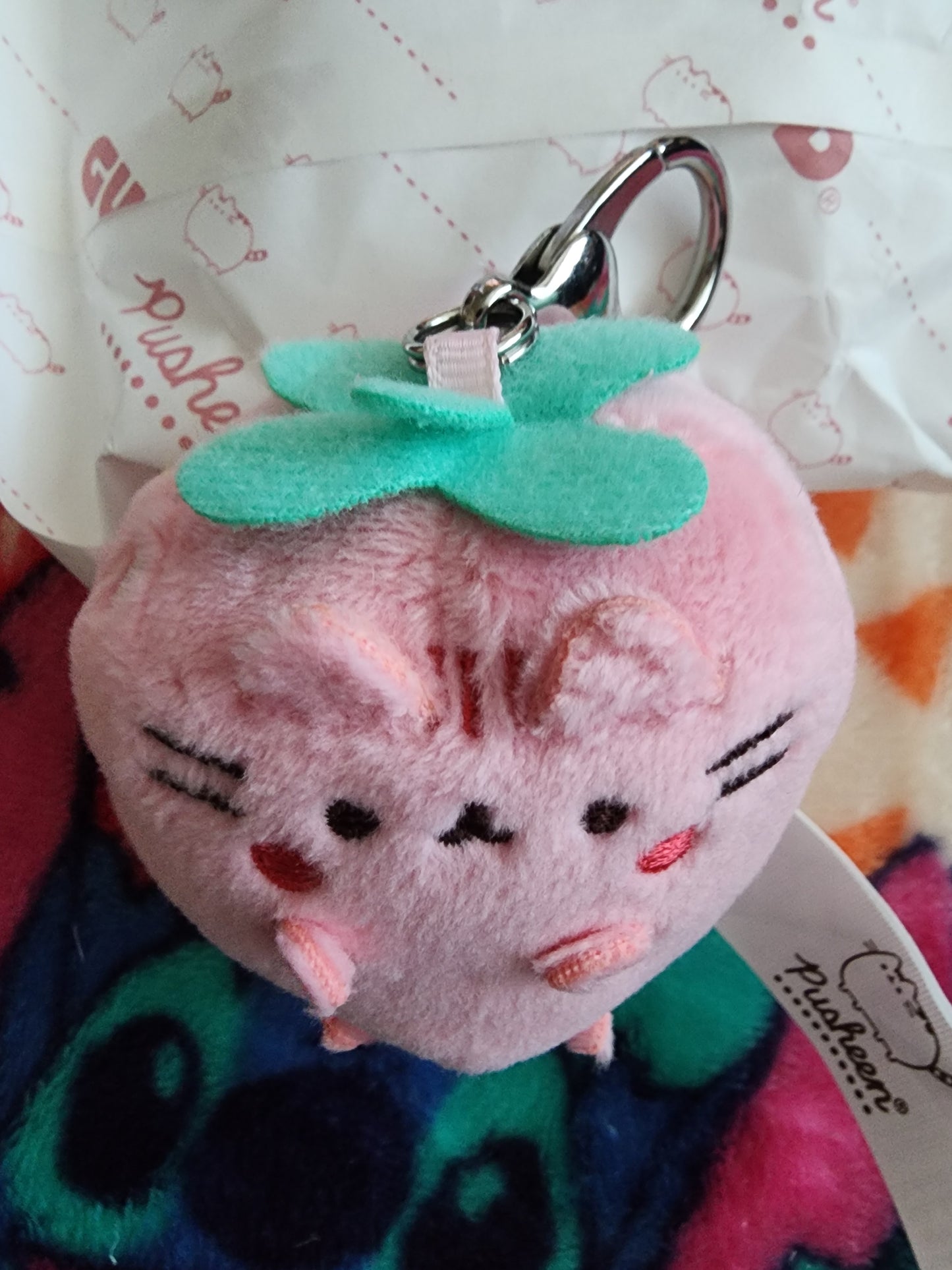 Pusheen Cat Fruit Plush Mystery Bag Clips