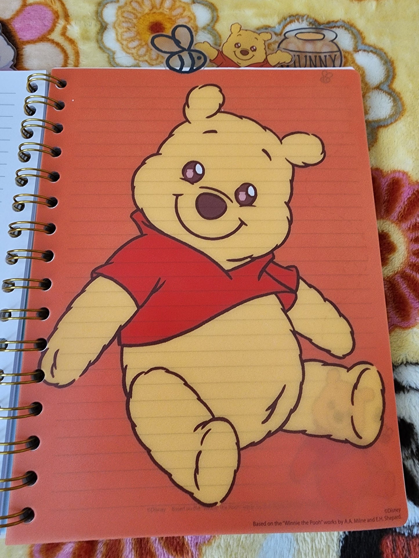 Disney Winnie the Pooh and Friends Notebook