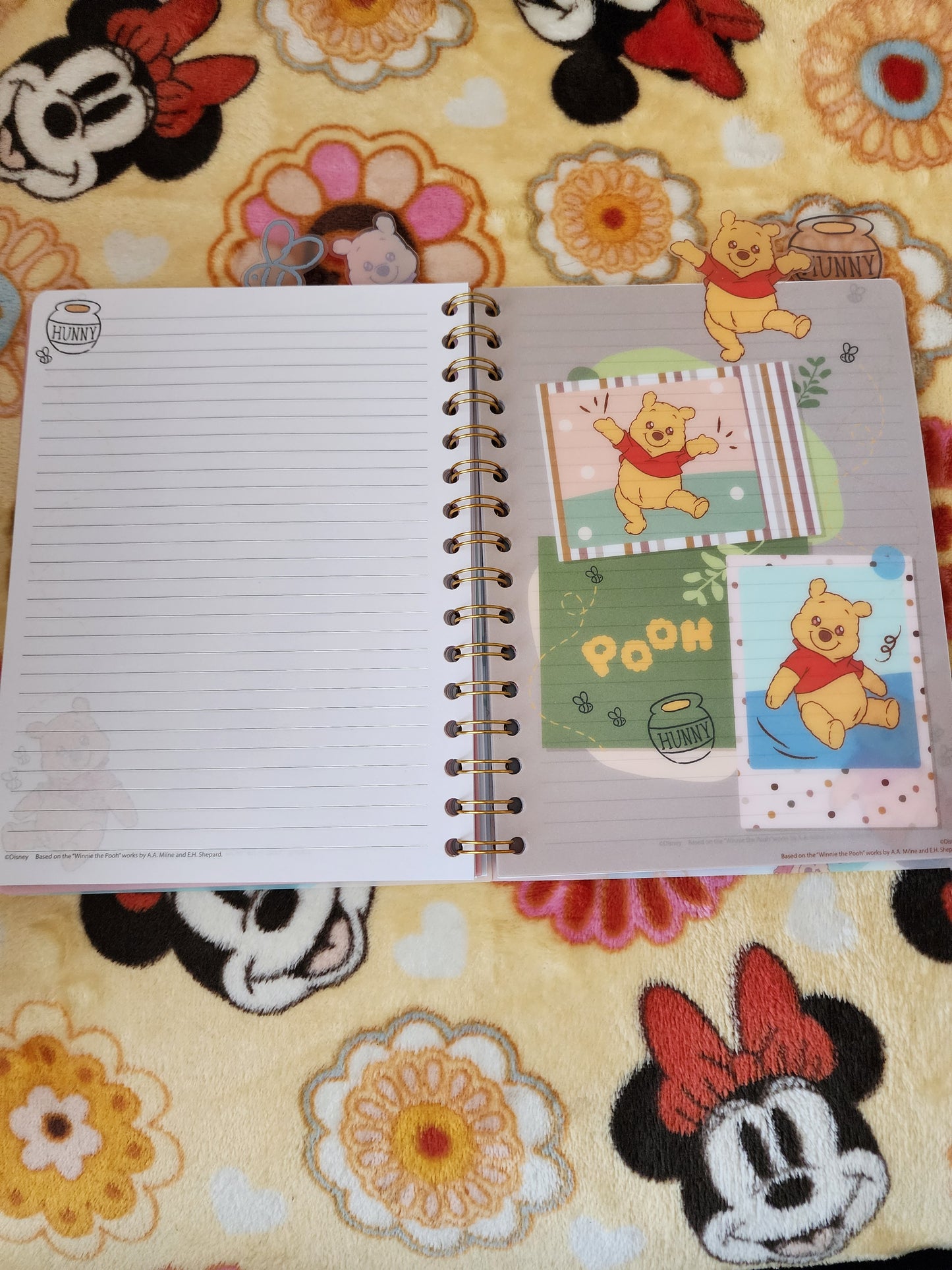 Disney Winnie the Pooh and Friends Notebook