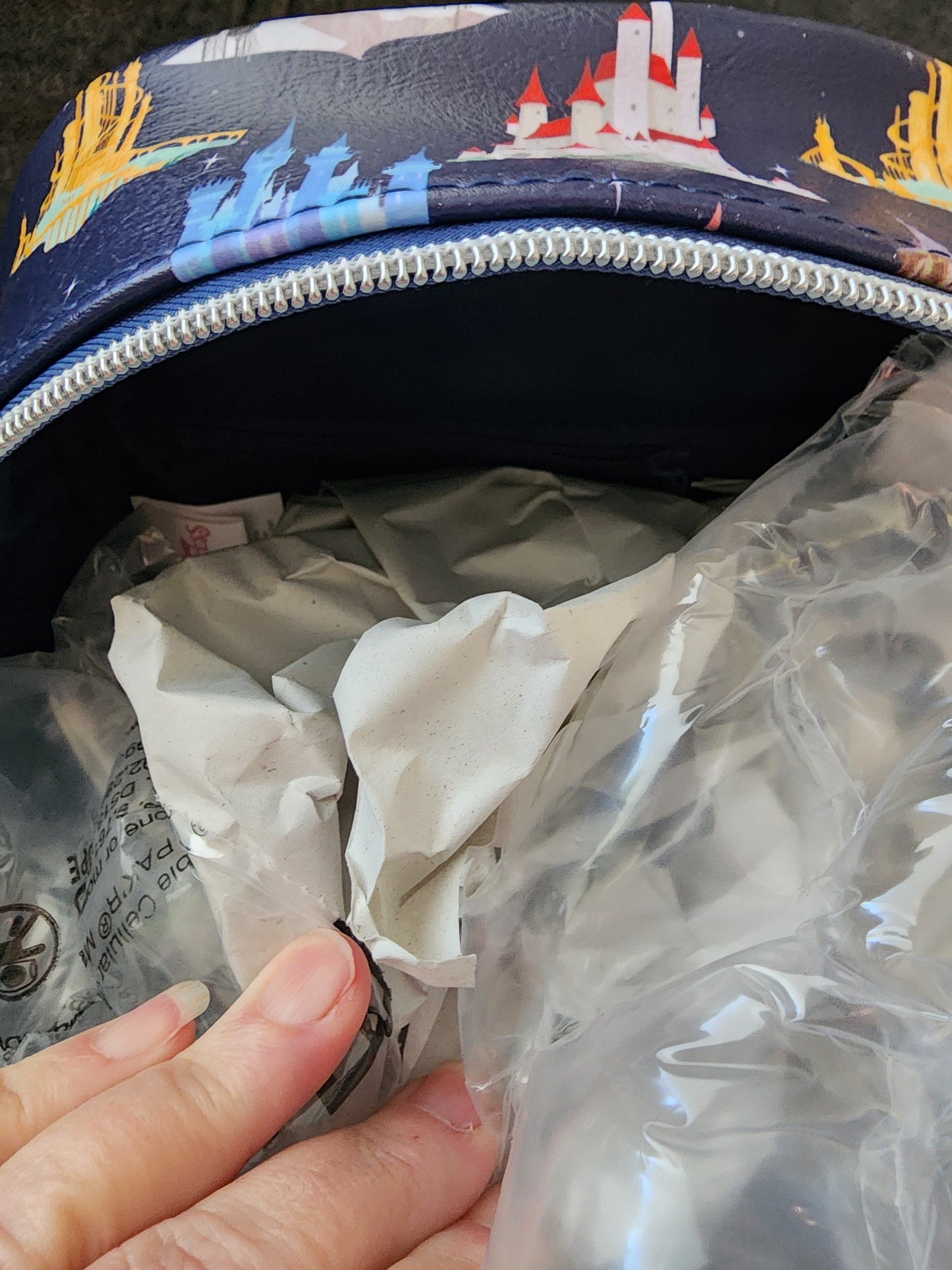 Disney Princess Castles Backpack