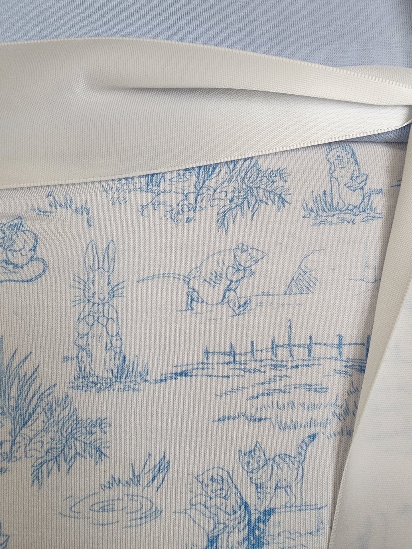 *CP Baby Blue Peter Rabbit Baby Blanket