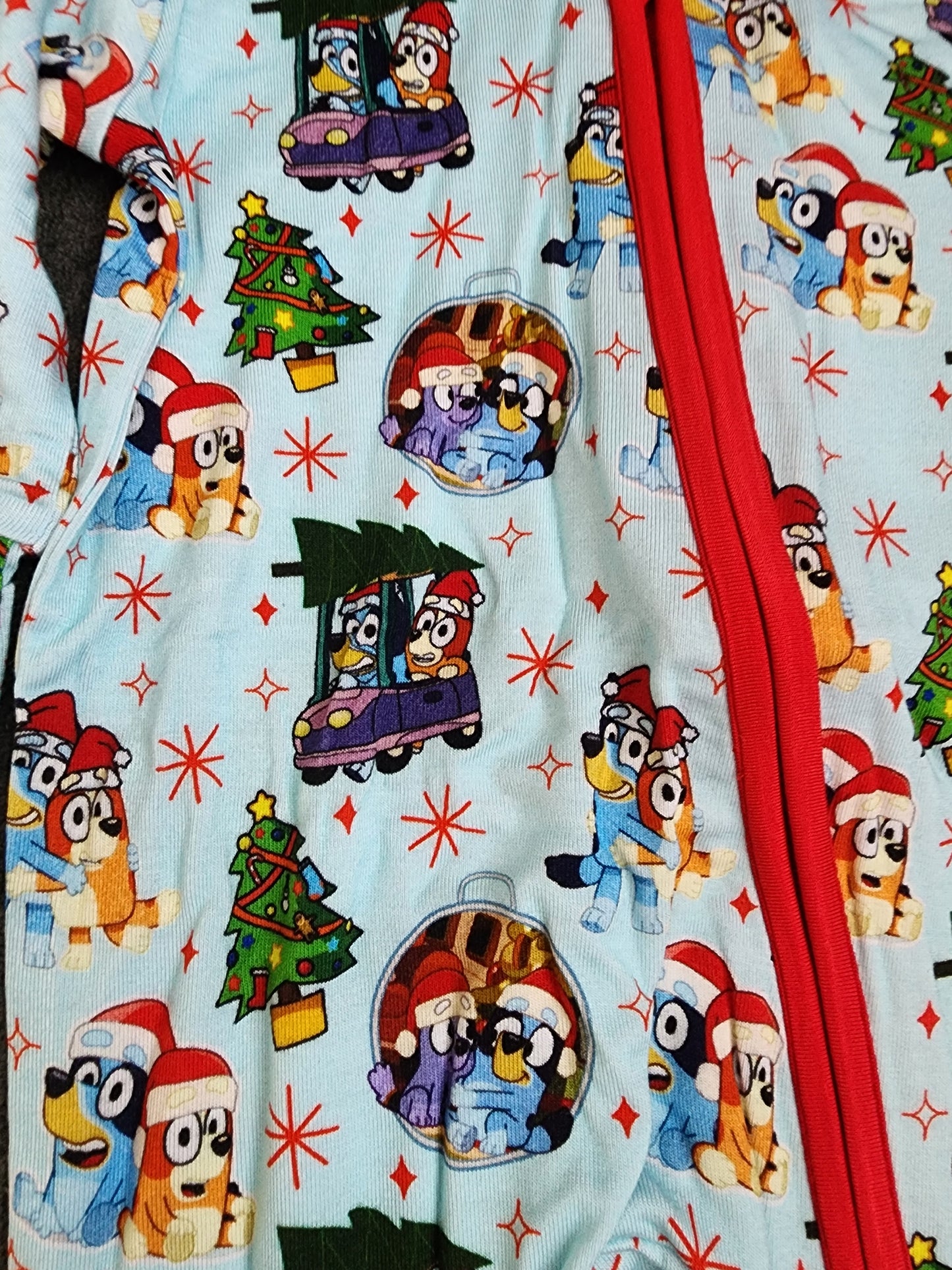 CP Bluey, Bingo and Family Christmas Zipper Sleeper Footie PJ's