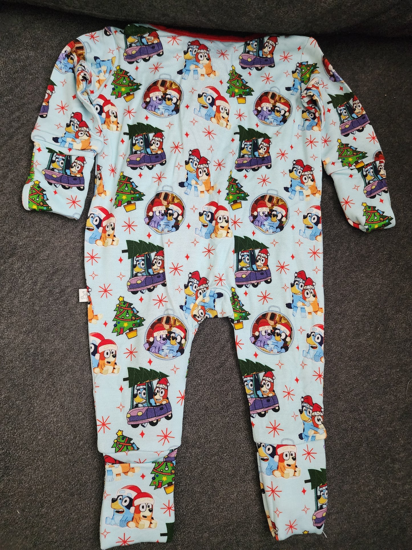 CP Bluey, Bingo and Family Christmas Zipper Sleeper Footie PJ's