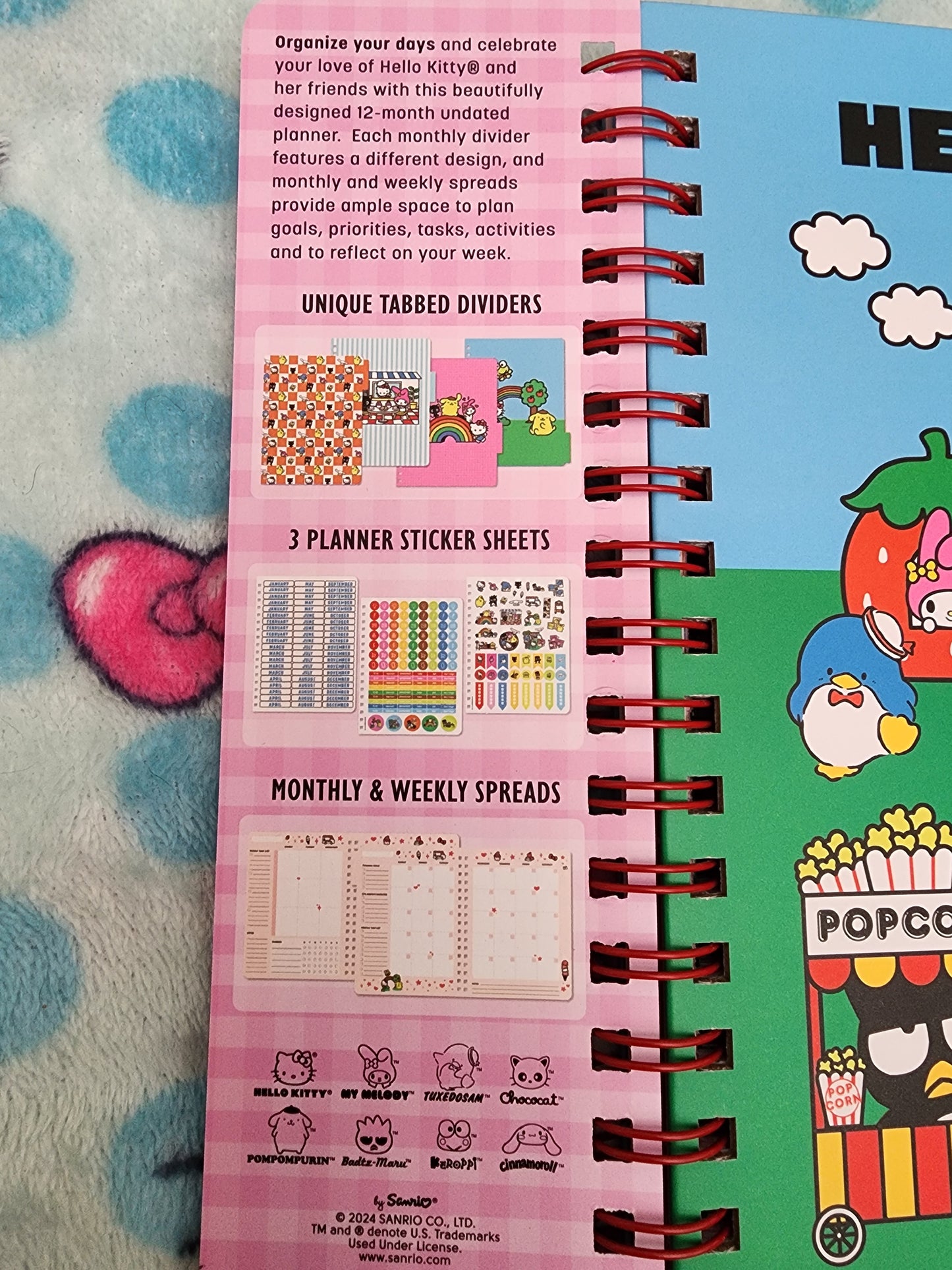 Hello Kitty and Friends 12 Month Planner