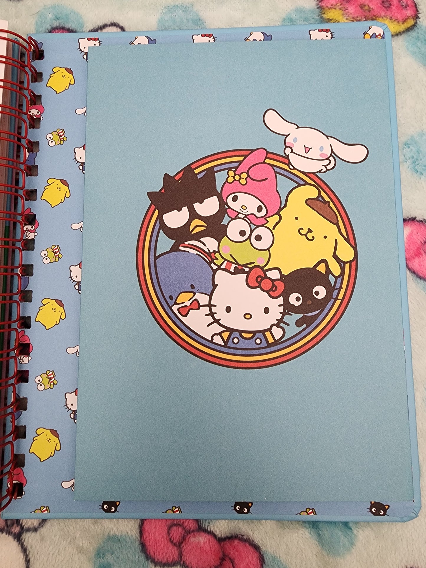 Hello Kitty and Friends 12 Month Planner