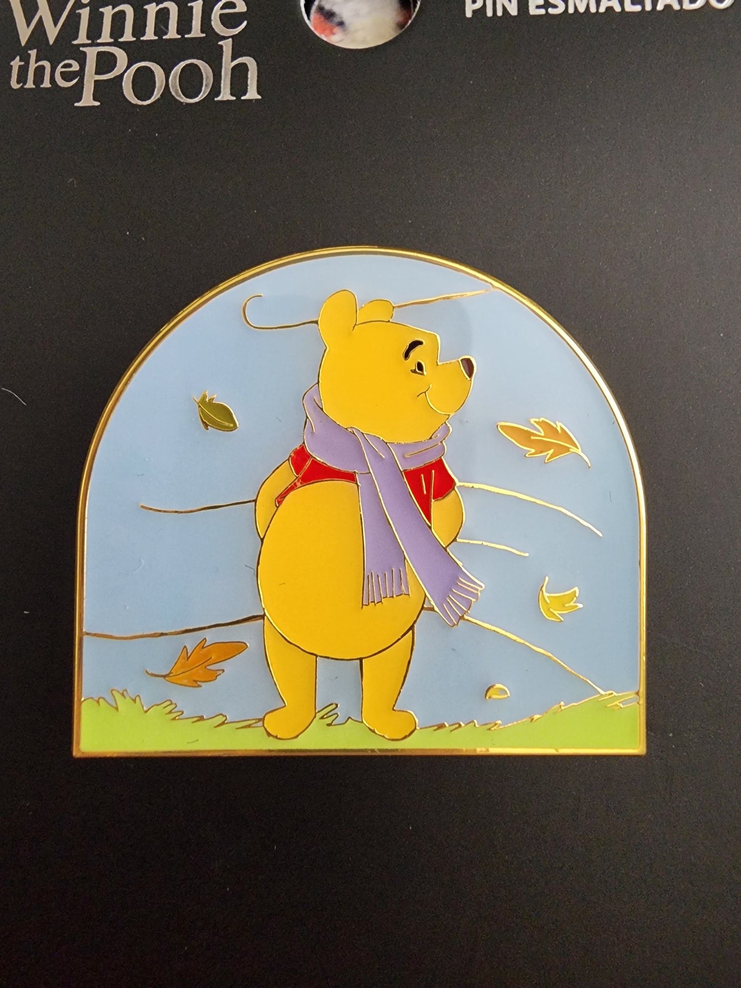 Loungefly Disney Winnie the Pooh on a Windy Day Pin