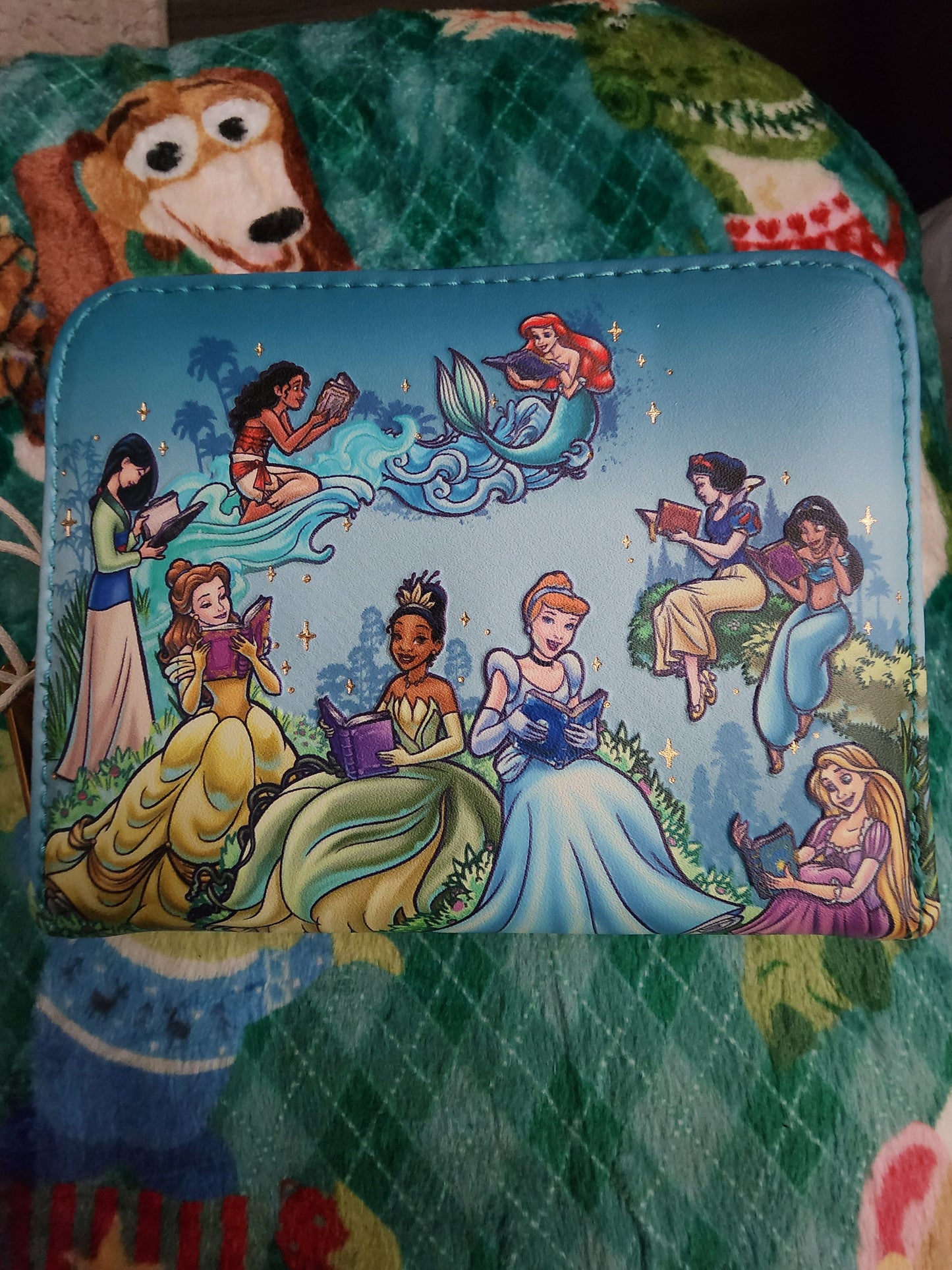 Loungefly Disney Princesses Reading Books Wallet