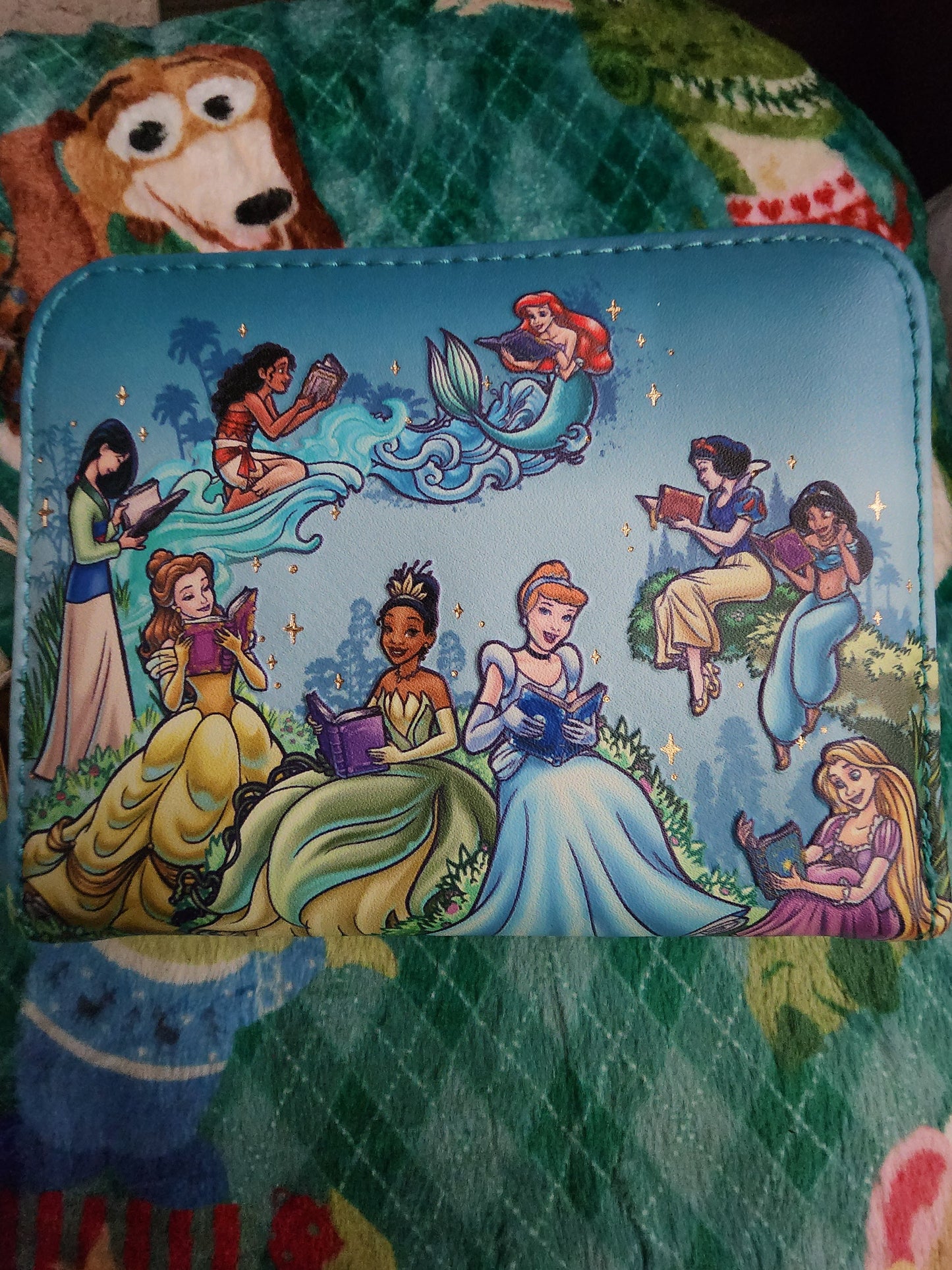 Loungefly Disney Princesses Reading Books Wallet