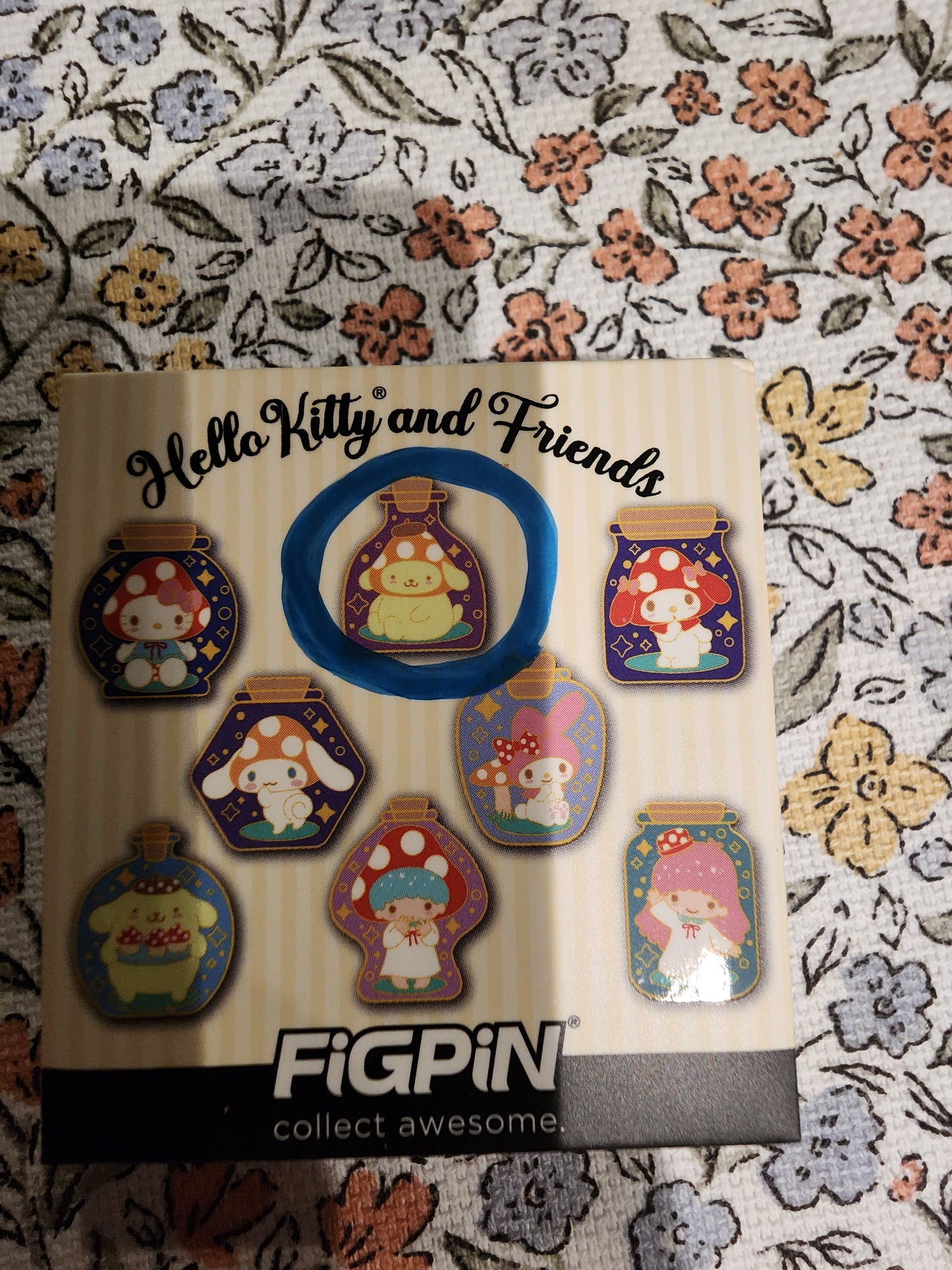 FigPin Hello Kitty and Friends Mason Jar Mystery Pins