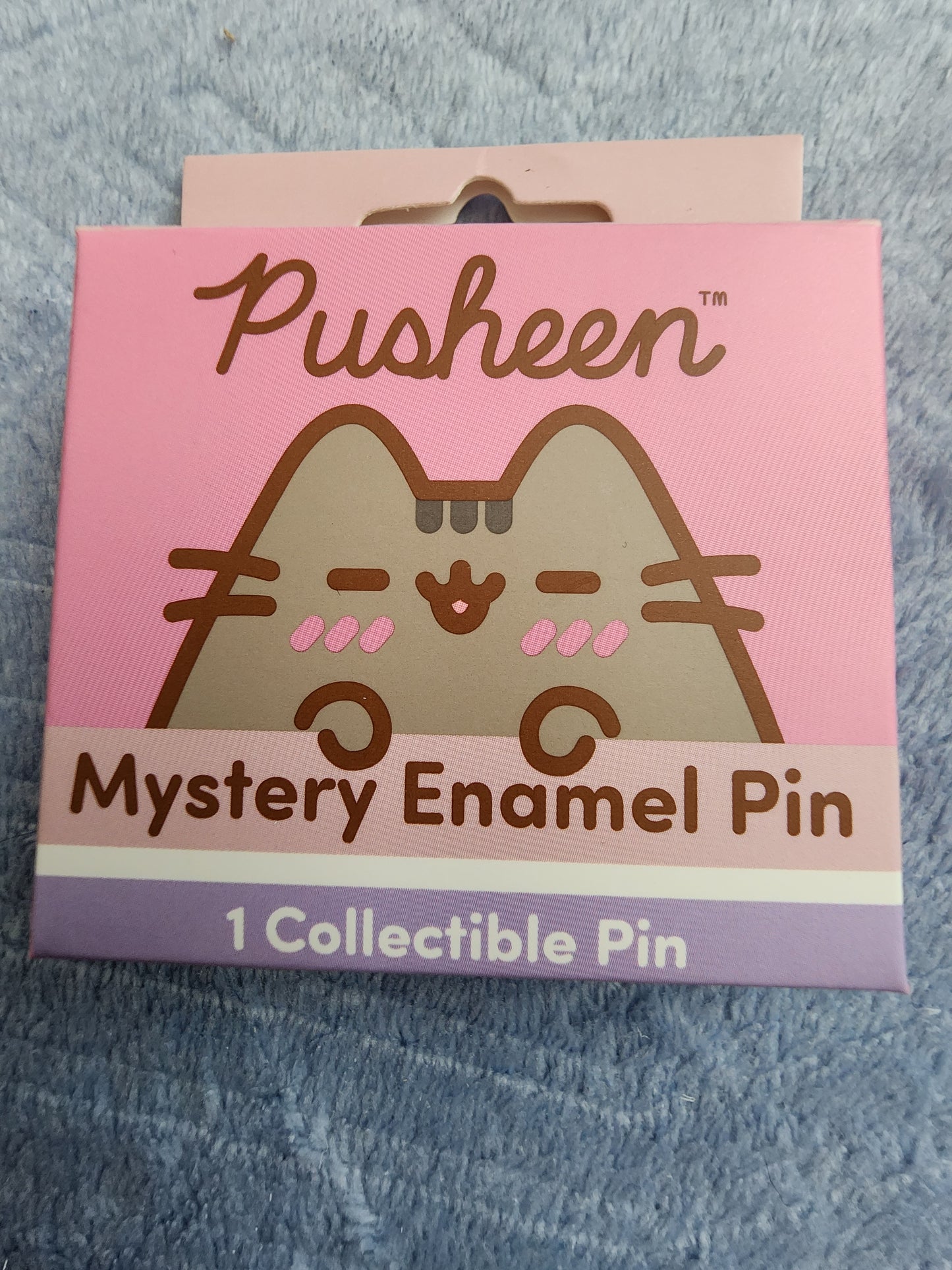 Pusheen Cat Valentine's Mystery Pins