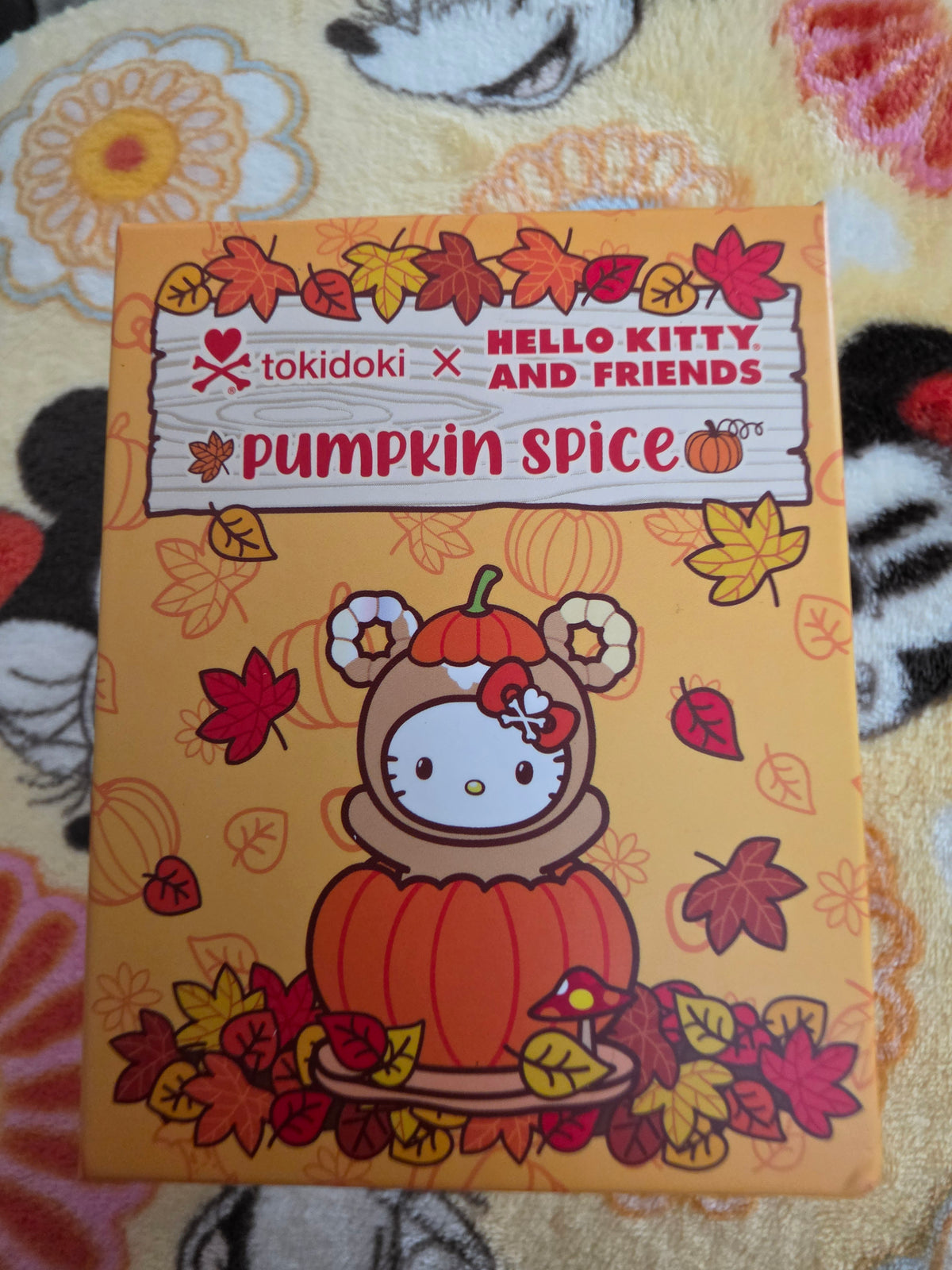 Tokidoki x Hello Kitty and Friends Fall Pumpkin Spice Figure Mystery Collection
