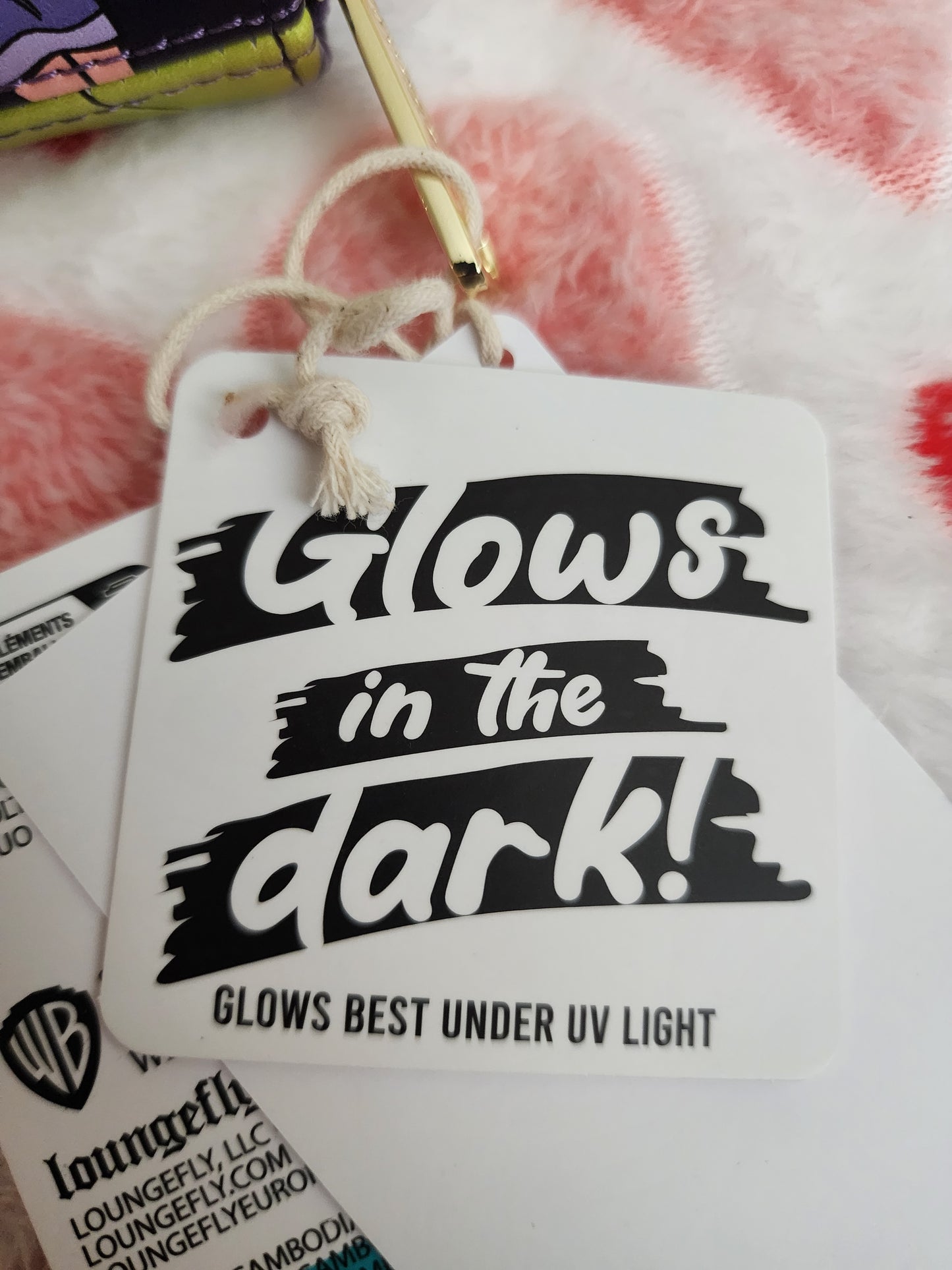 Loungefly Scooby-Doo Shaggy & Scooby Glow in the Dark Eyes Wallet