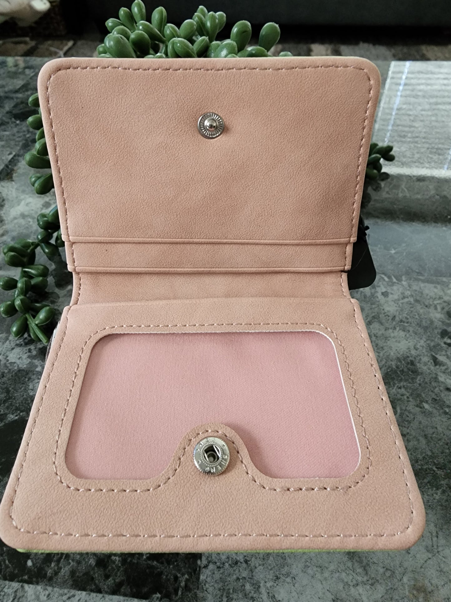 Loungefly Pokemon Picnic Card Holder