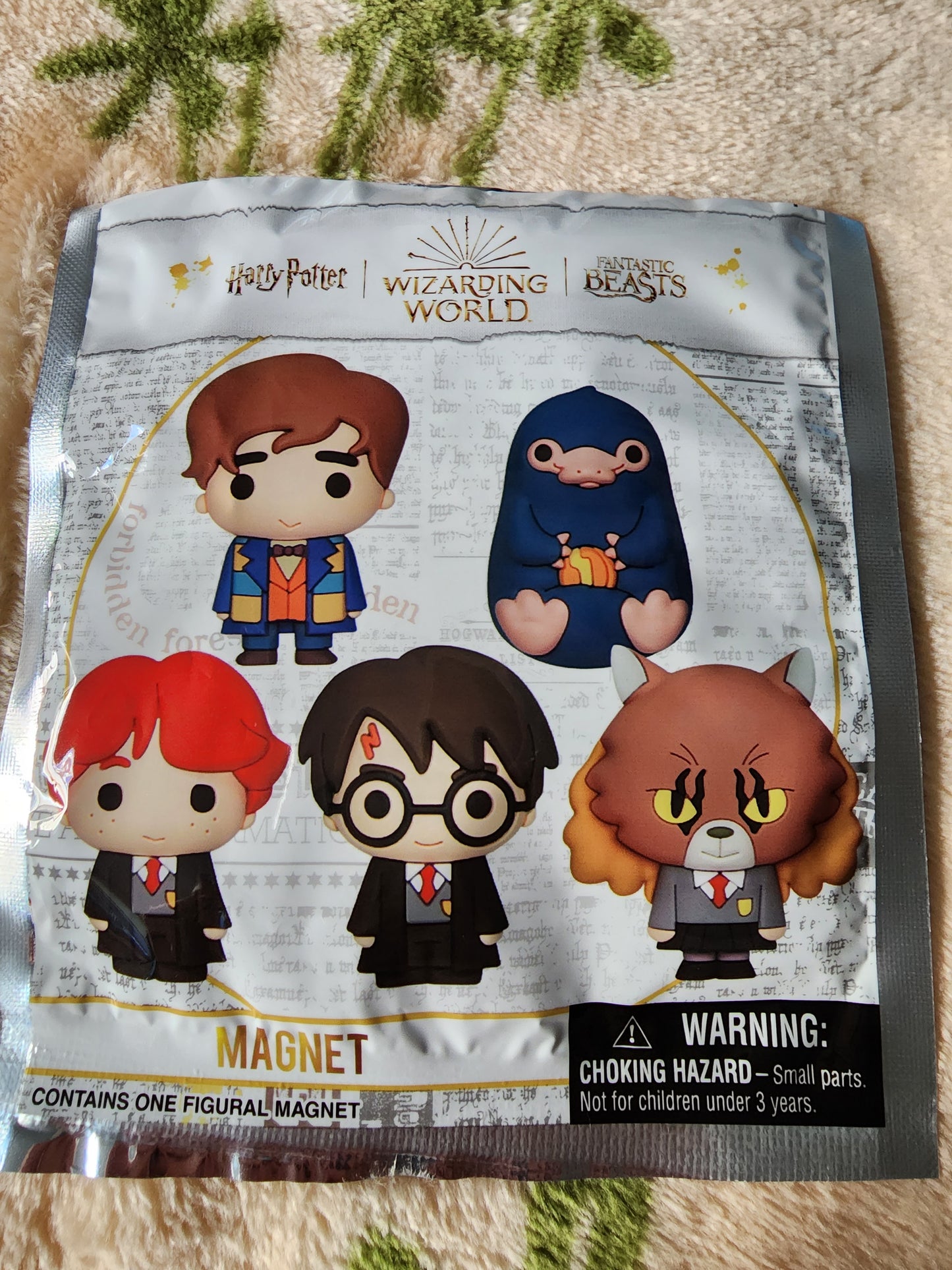 Harry Potter Magnet