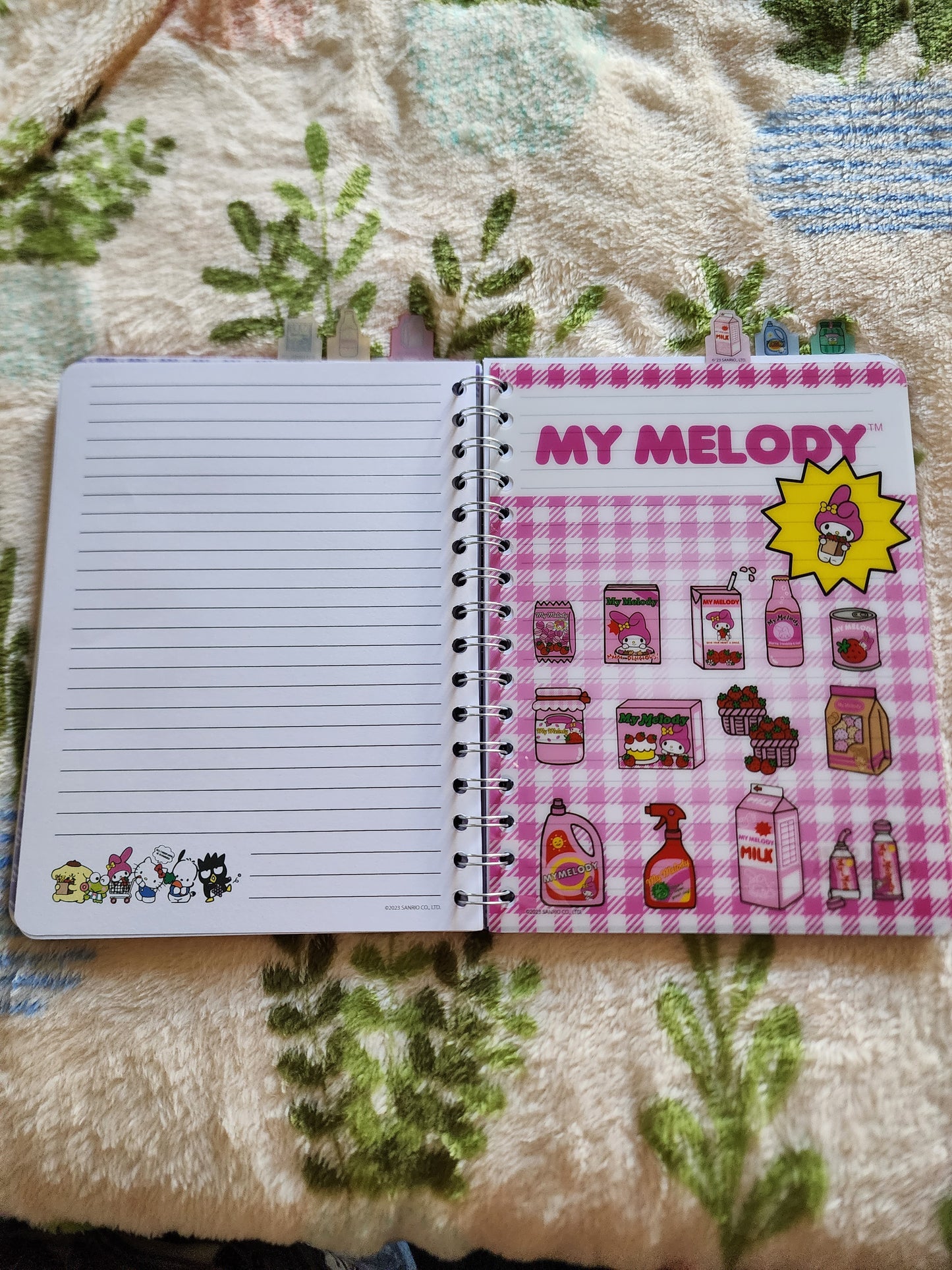 Hello Kitty and Friends Notebook