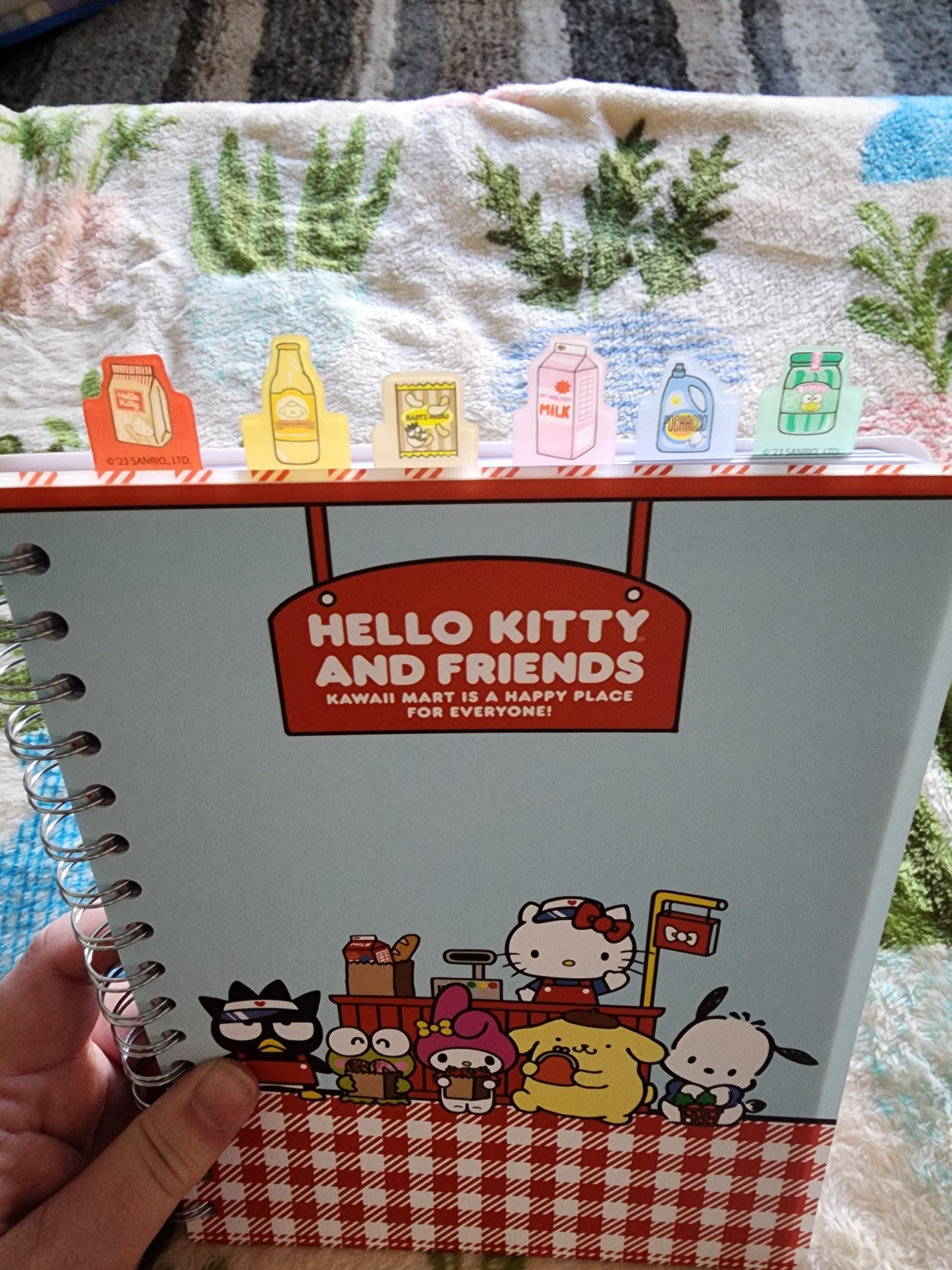 Hello Kitty and Friends Notebook