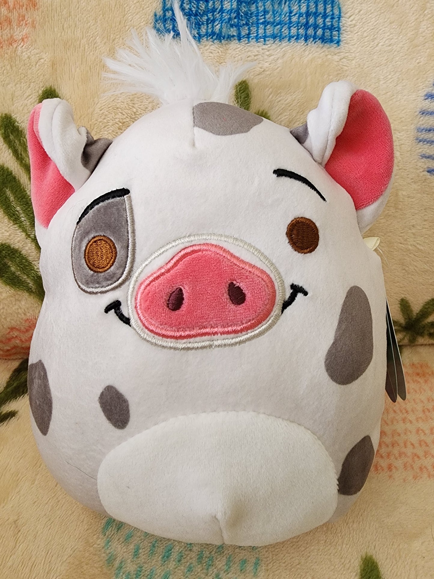 Squishmallow Disney Pua 8" Plush